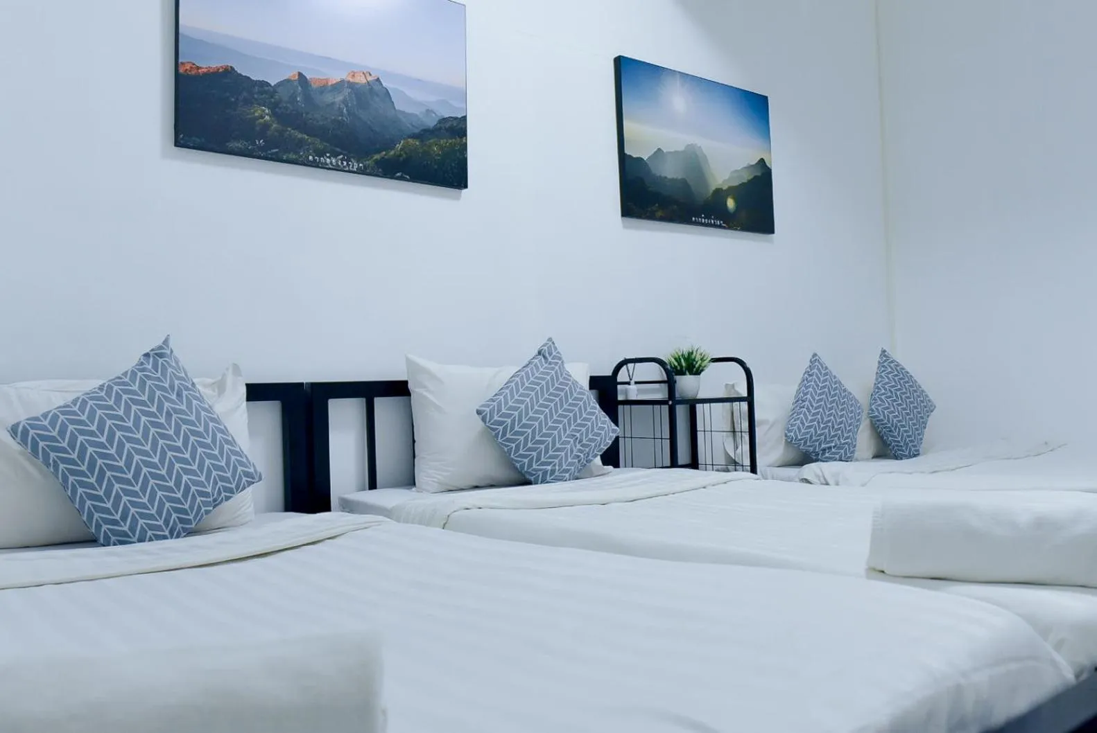 Bed in 24 Poshtel Chiangmai