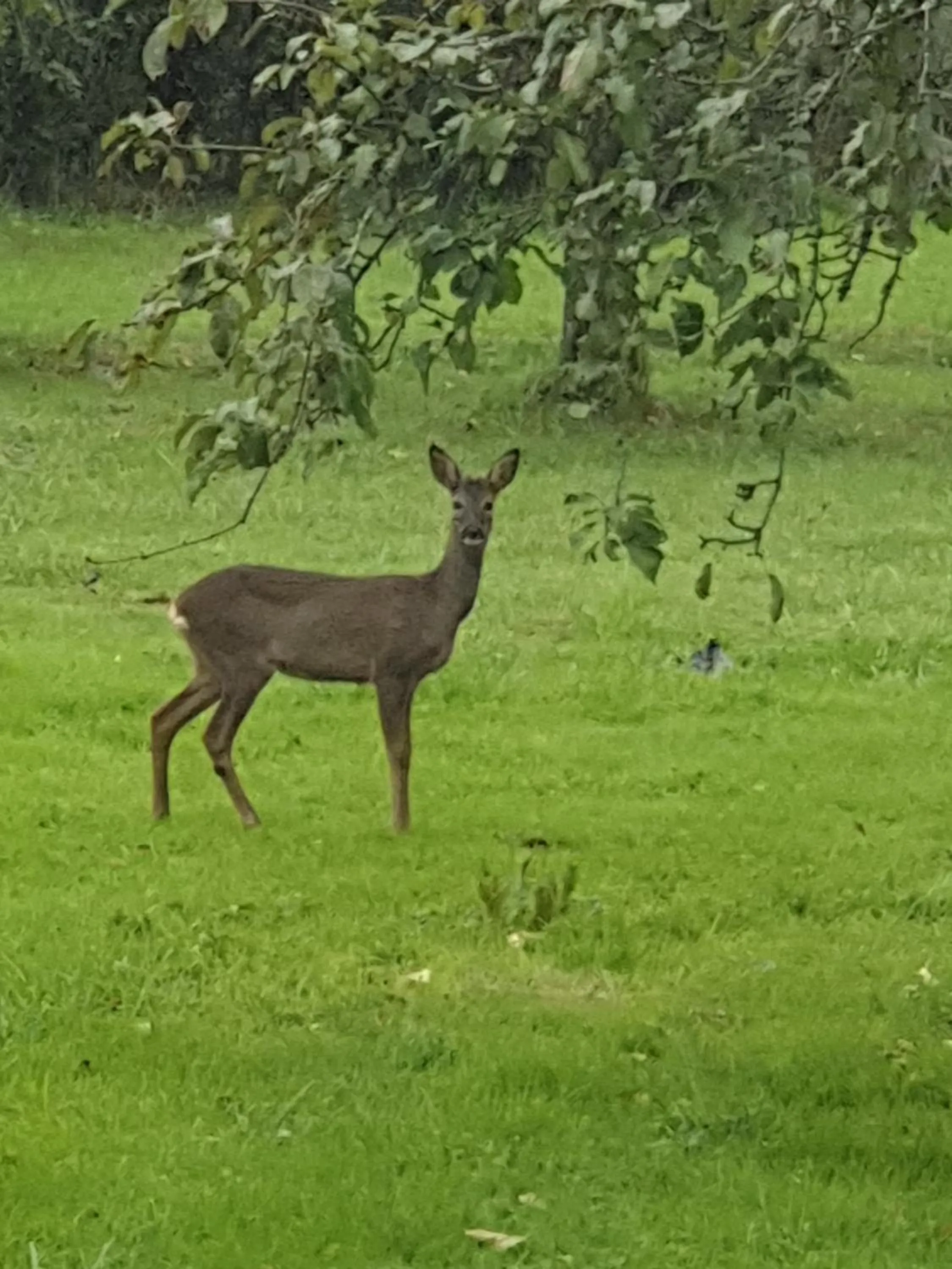 Domaine mon doux rêve