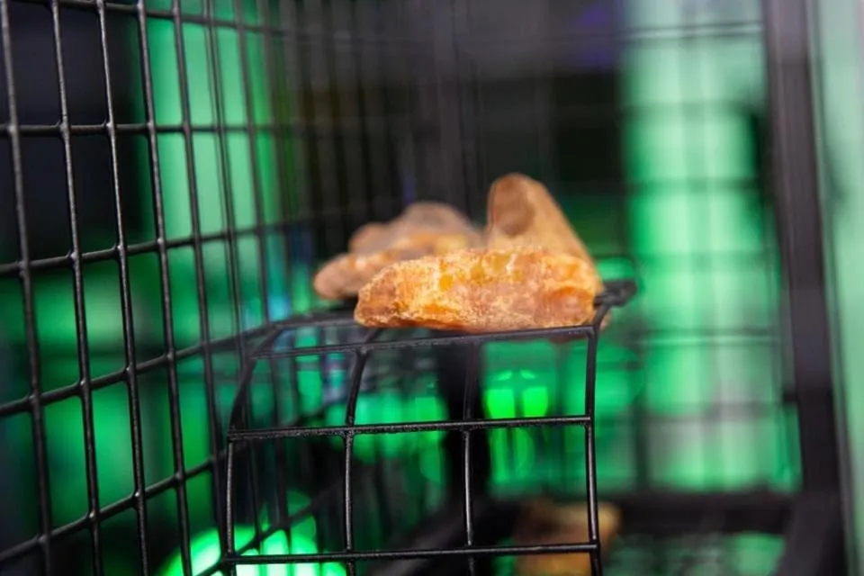 Property building in AMBER PORT