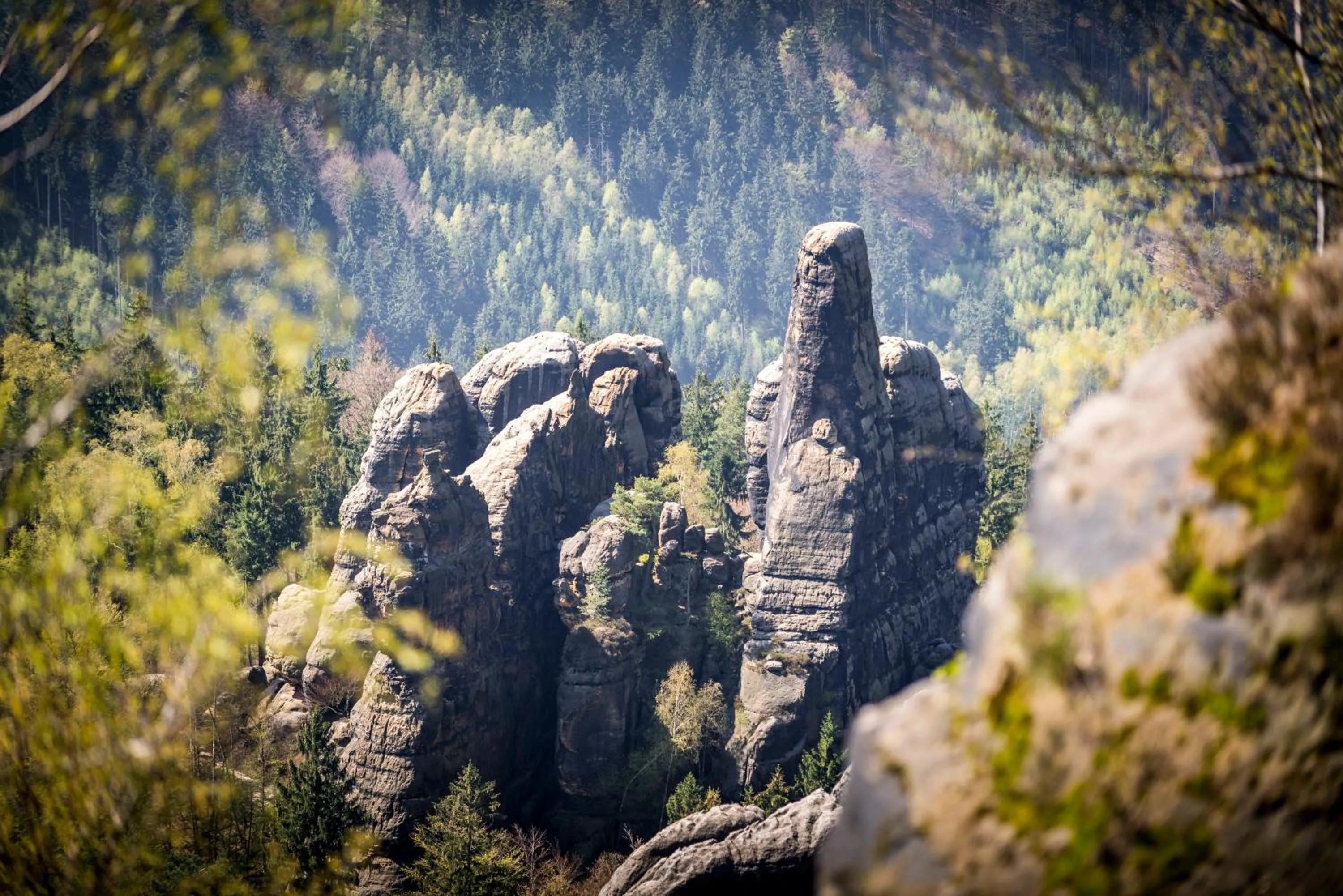 Natural landscape in Hotel Amselgrundschlößchen