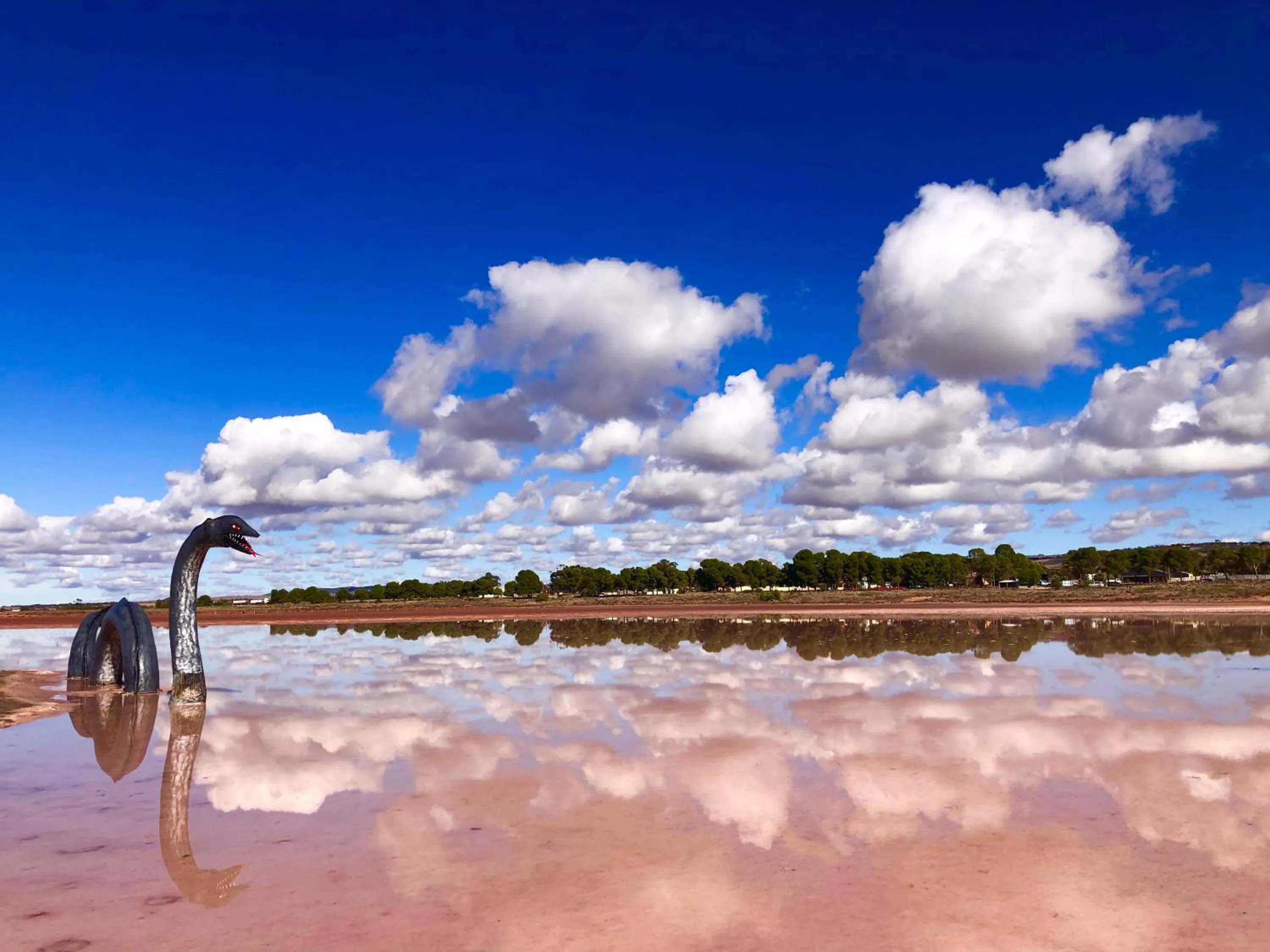 Lake view in The Pink Lake Tiny House - 'Sakura'