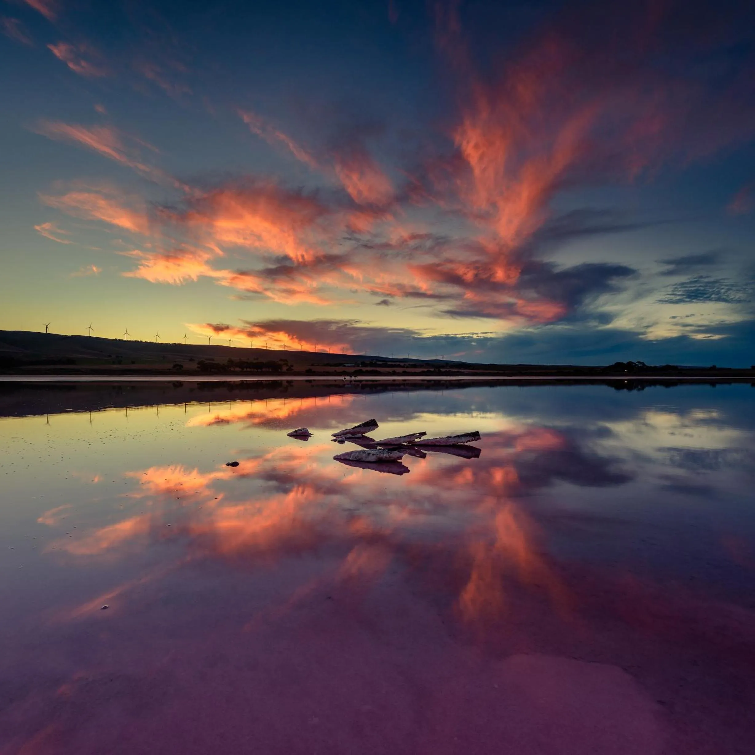 Natural landscape in The Pink Lake Tiny House - 'Sakura'