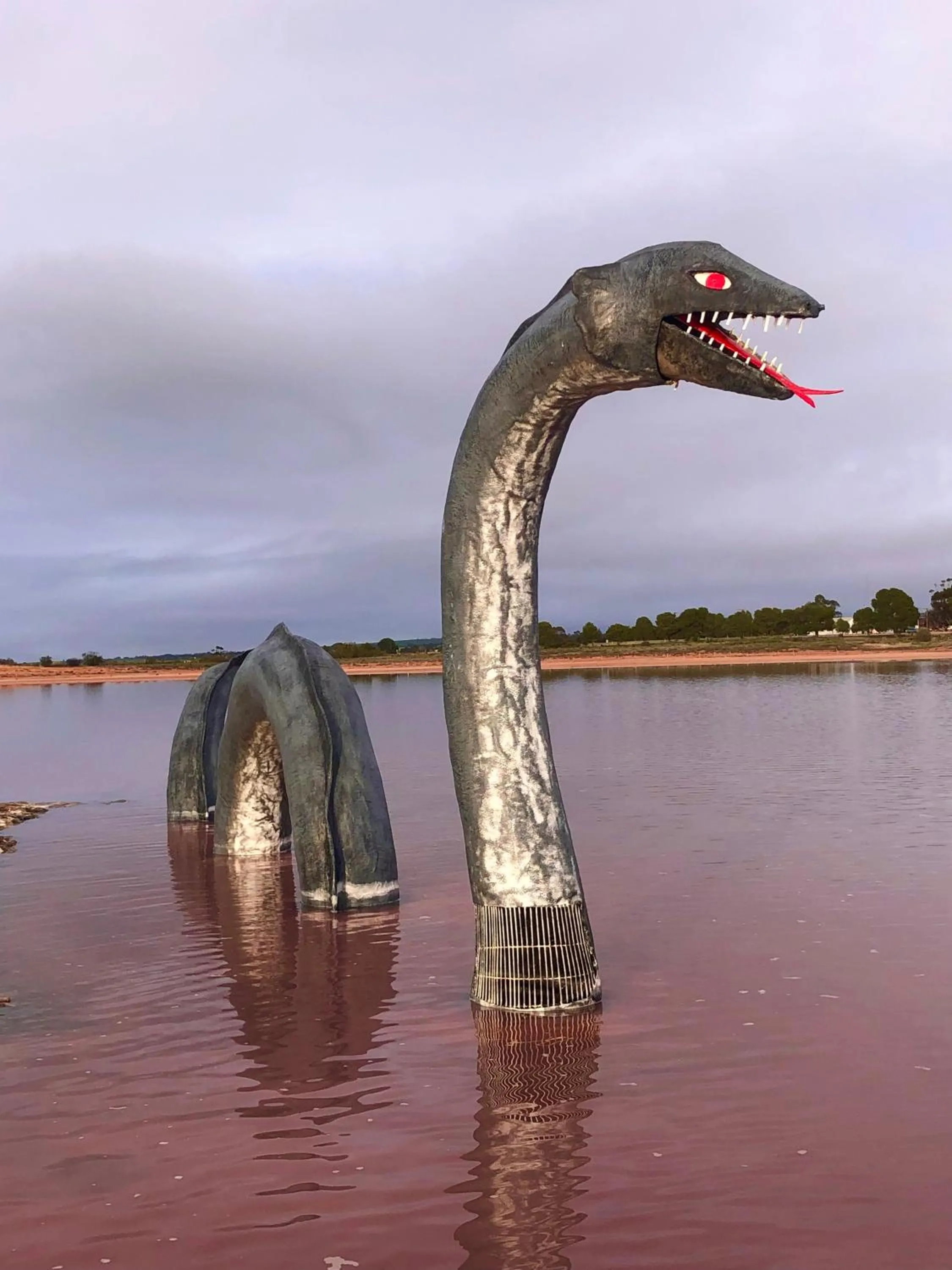 Natural landscape in The Pink Lake Tiny House - 'Sakura'