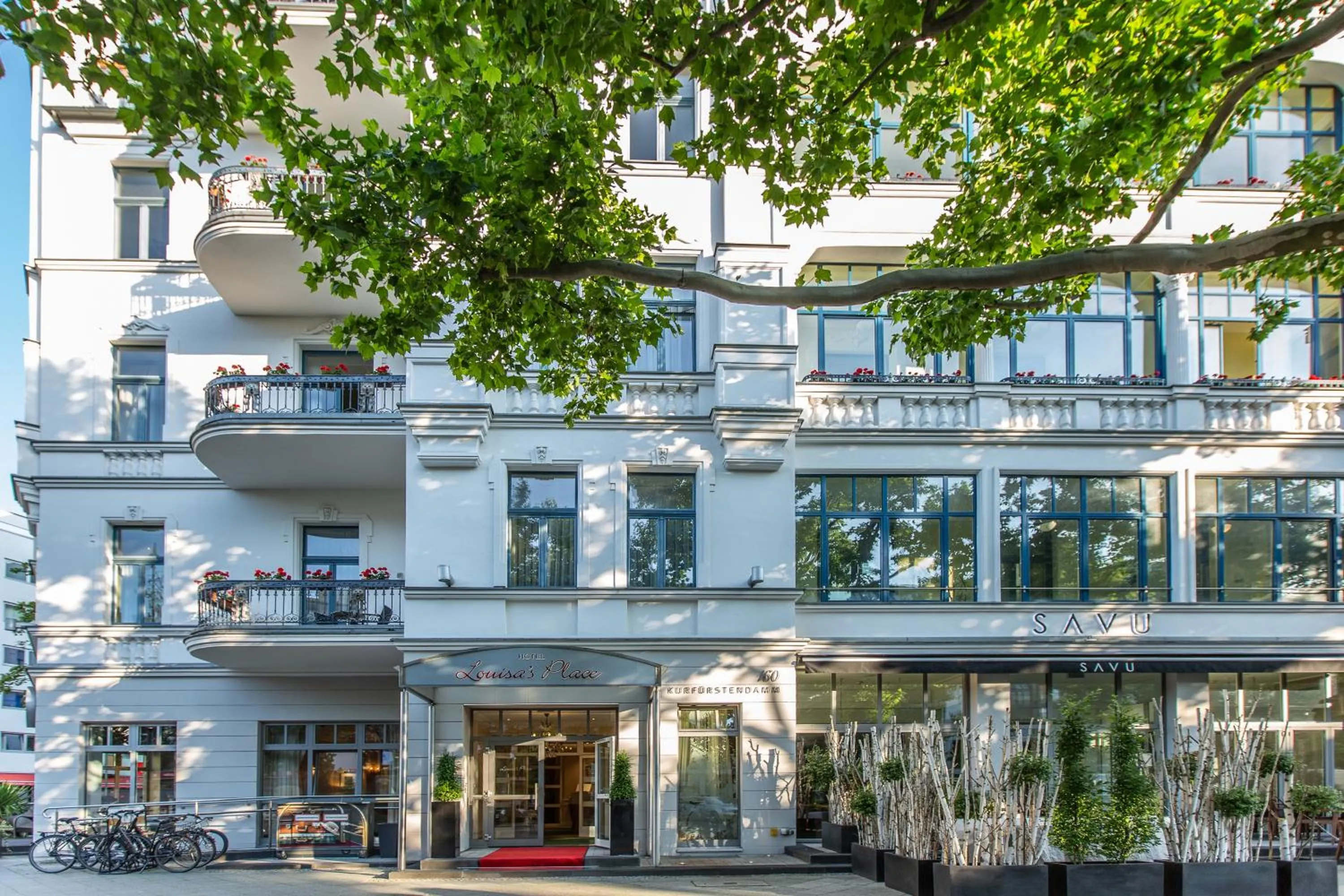 Property building in Louisa's Place