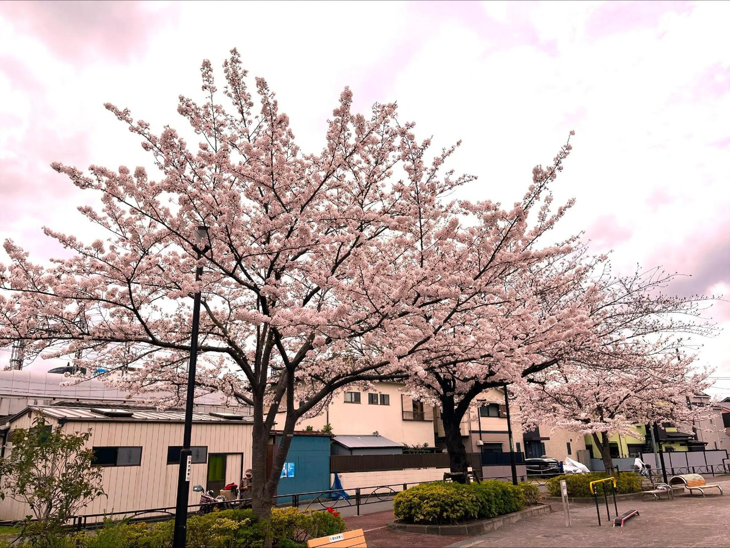 Neighbourhood in Tokyo Enjoy Hotel
