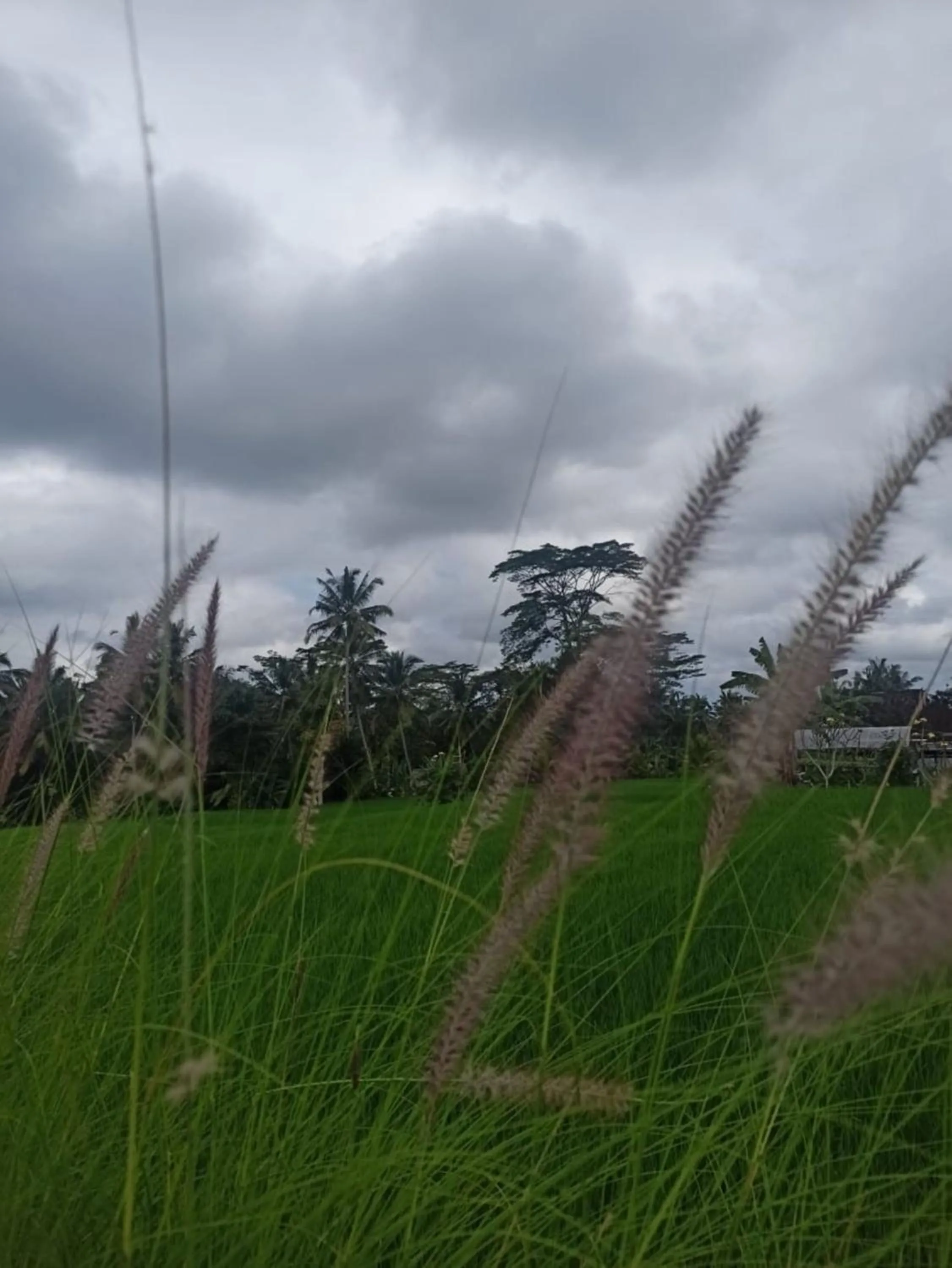 Property building in Batu Agung Laplapan