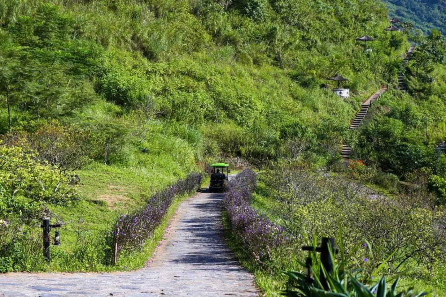 Spring in H'mong Village Resort Ha Giang