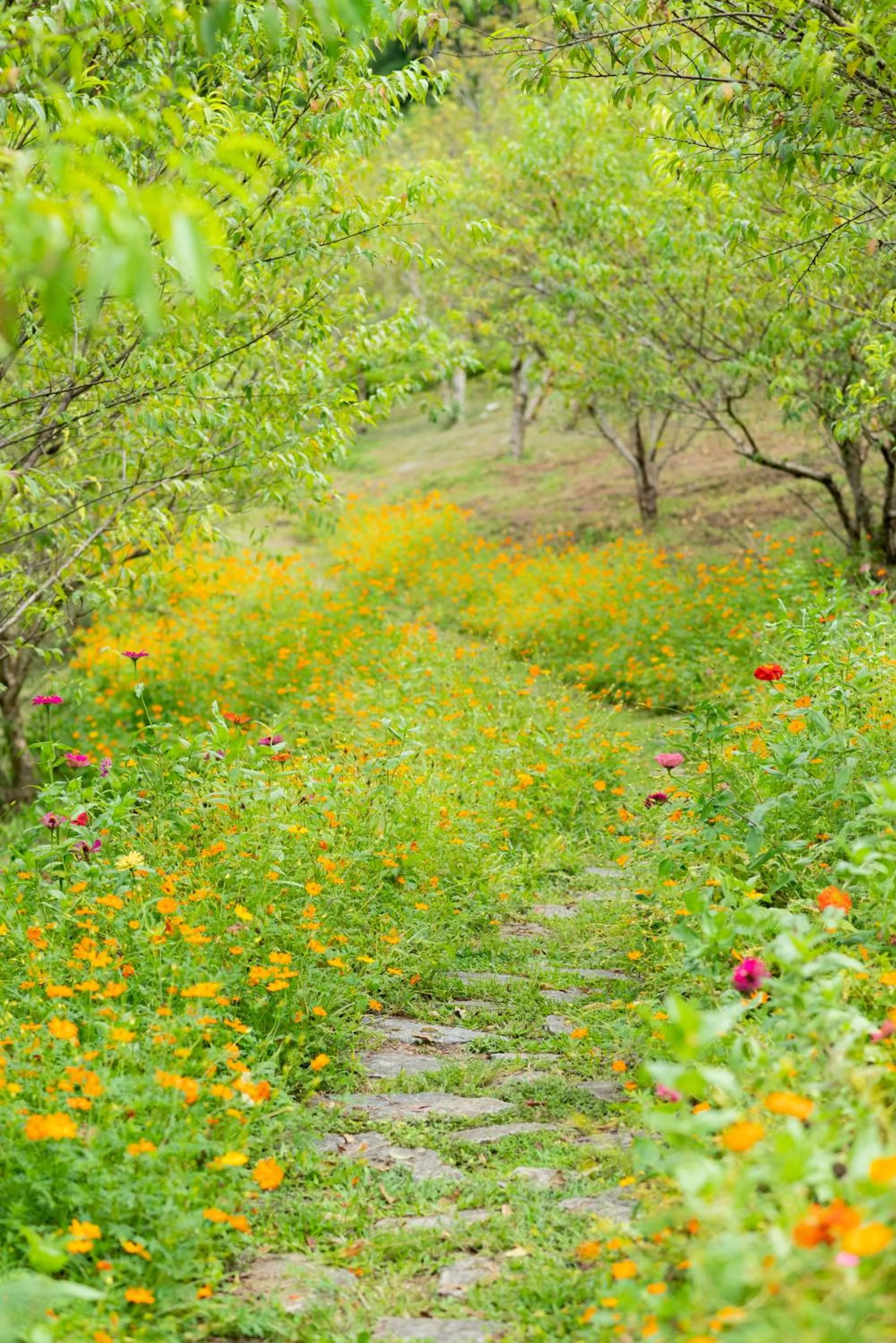 H'mong Village Resort Ha Giang