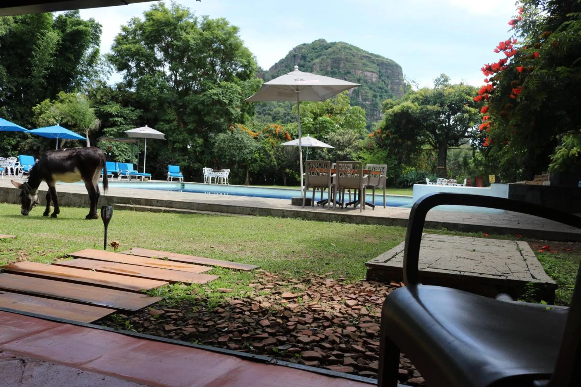 Mountain view in Los Cruxes