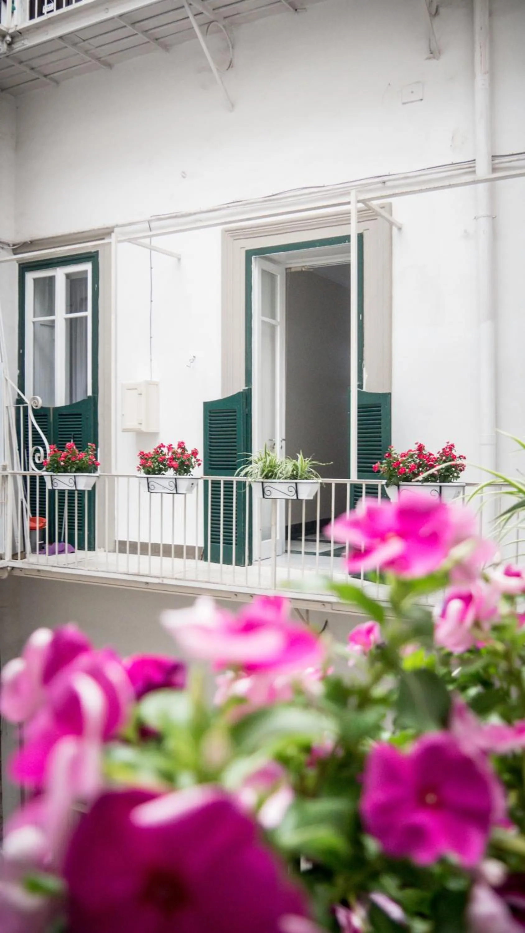 Patio in TOLEDO CLASS