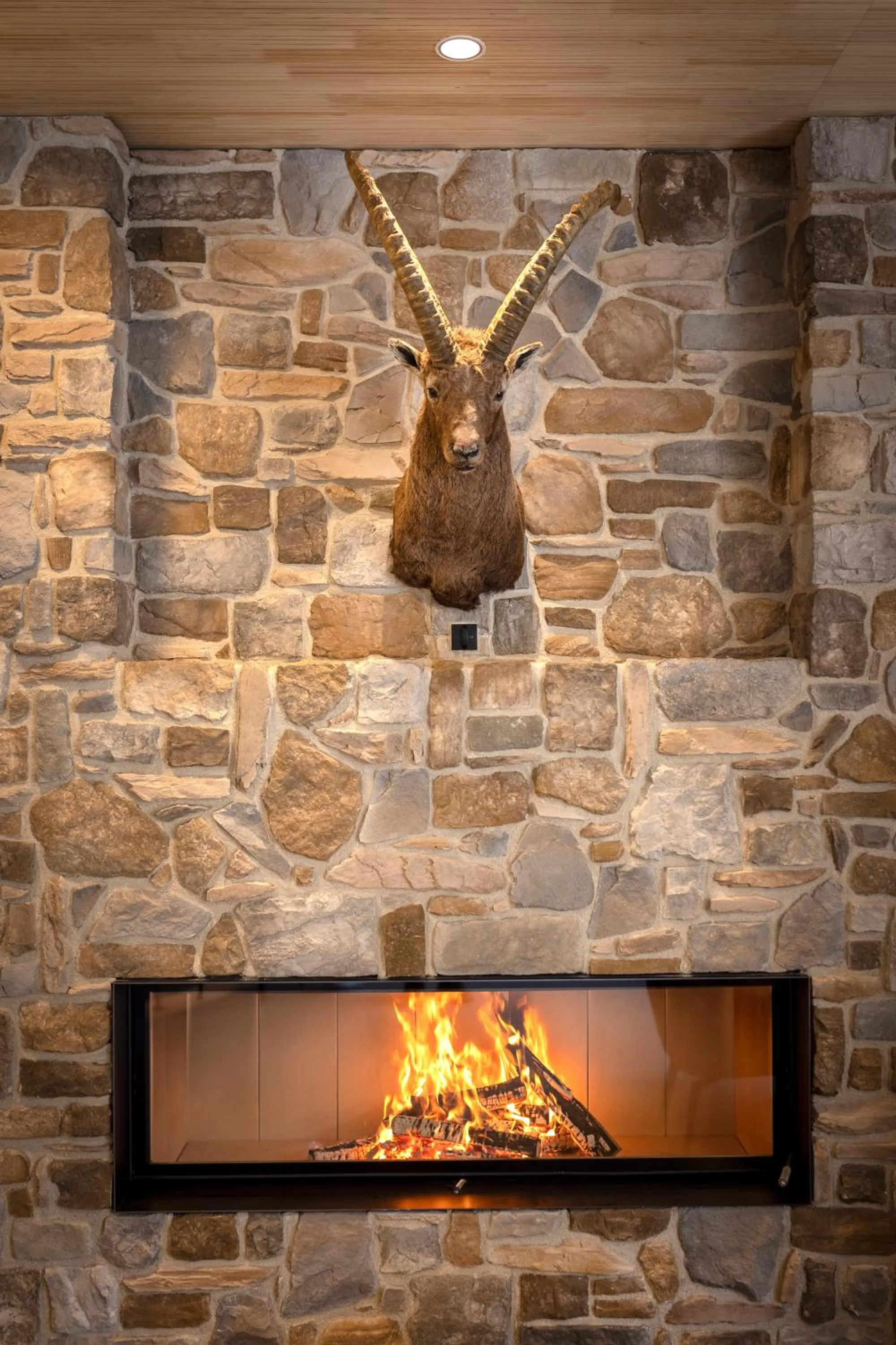 Communal lounge/ TV room in JUFA Hotel Savognin