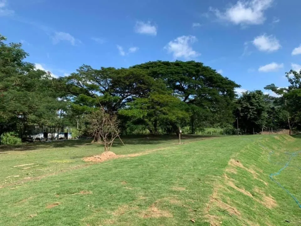 Natural landscape in Putan-namsai Resort