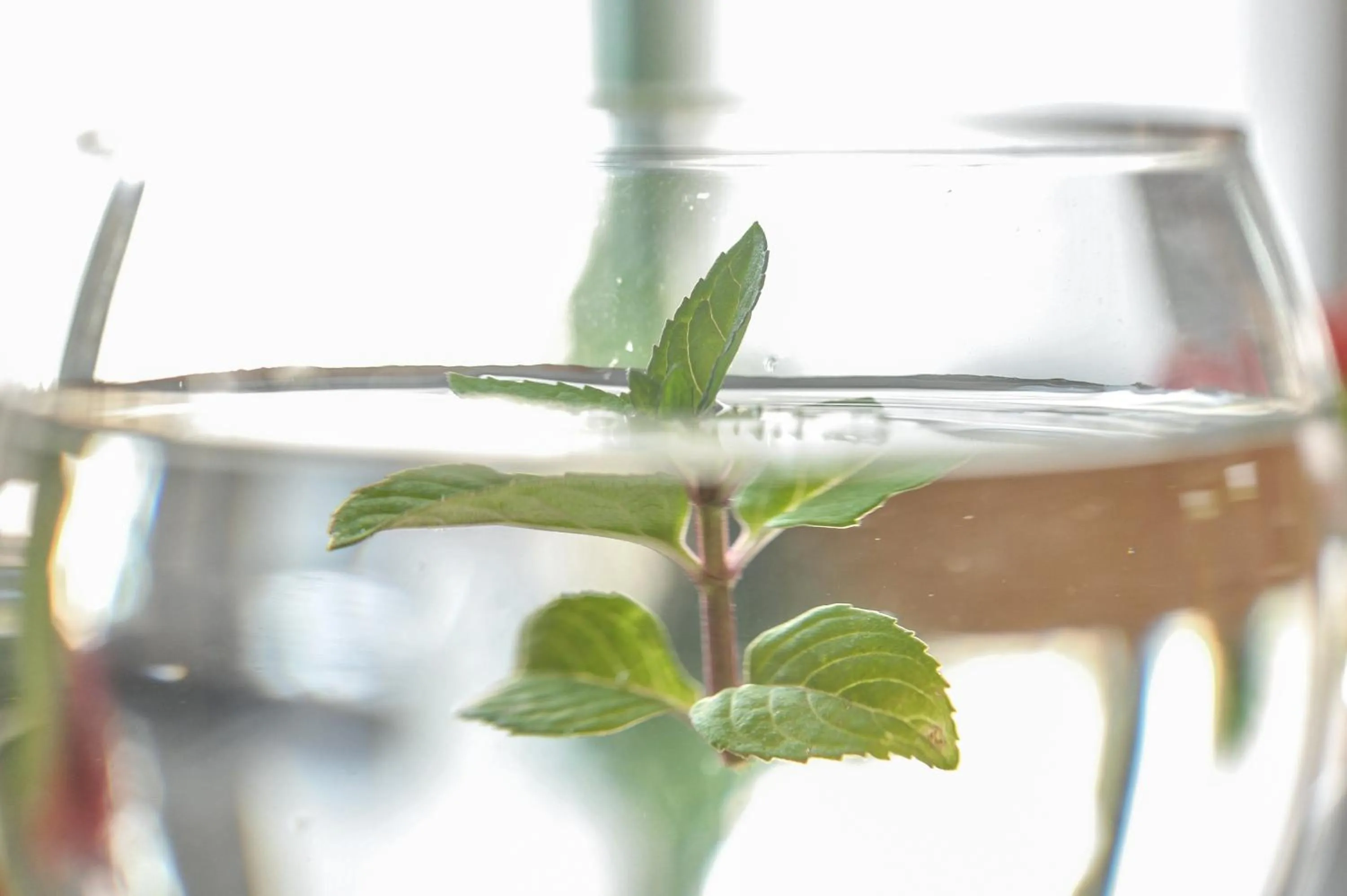 Drinks in Gästehaus abz Stuttgart