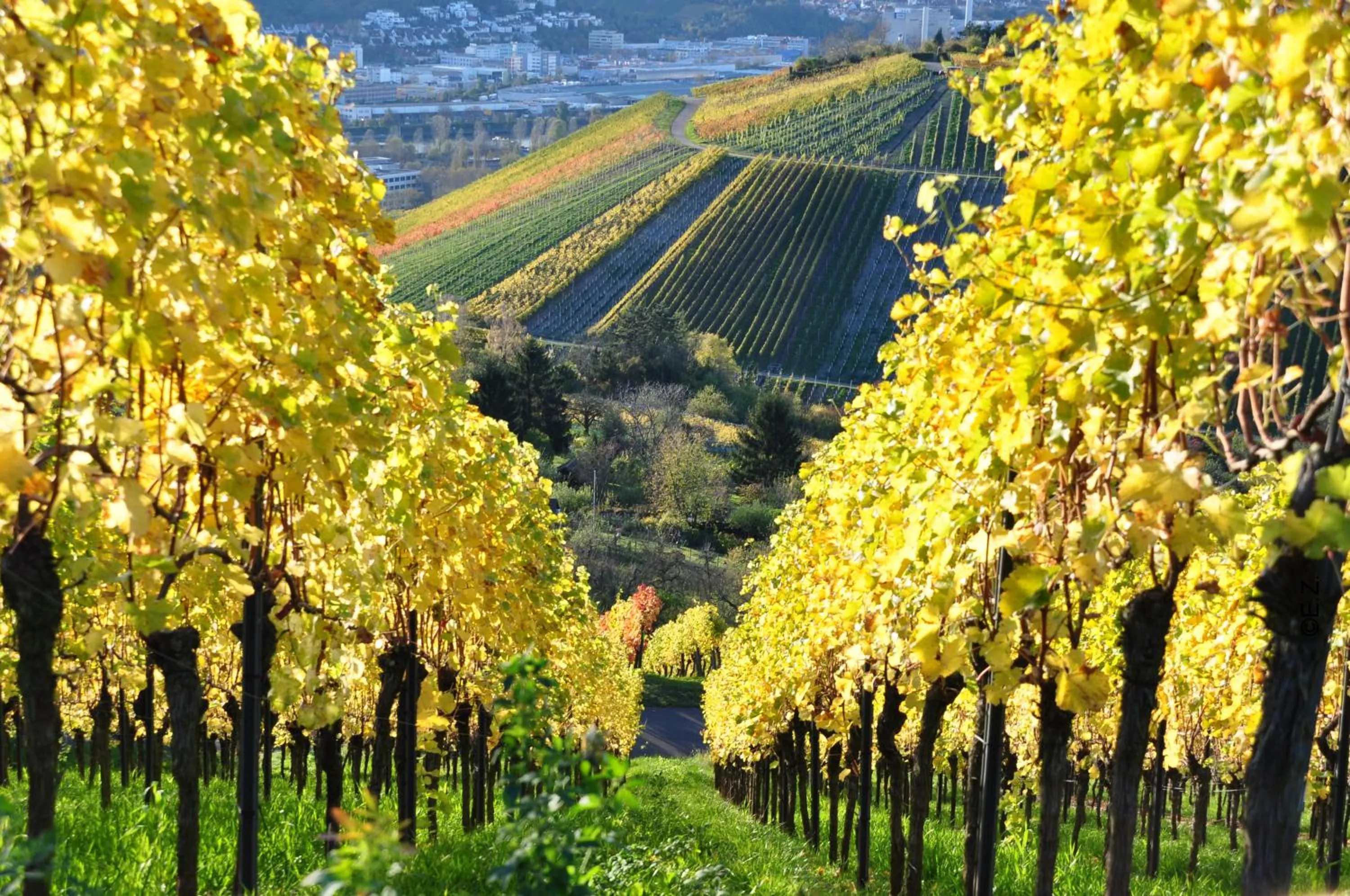 Staff in Gästehaus abz Stuttgart
