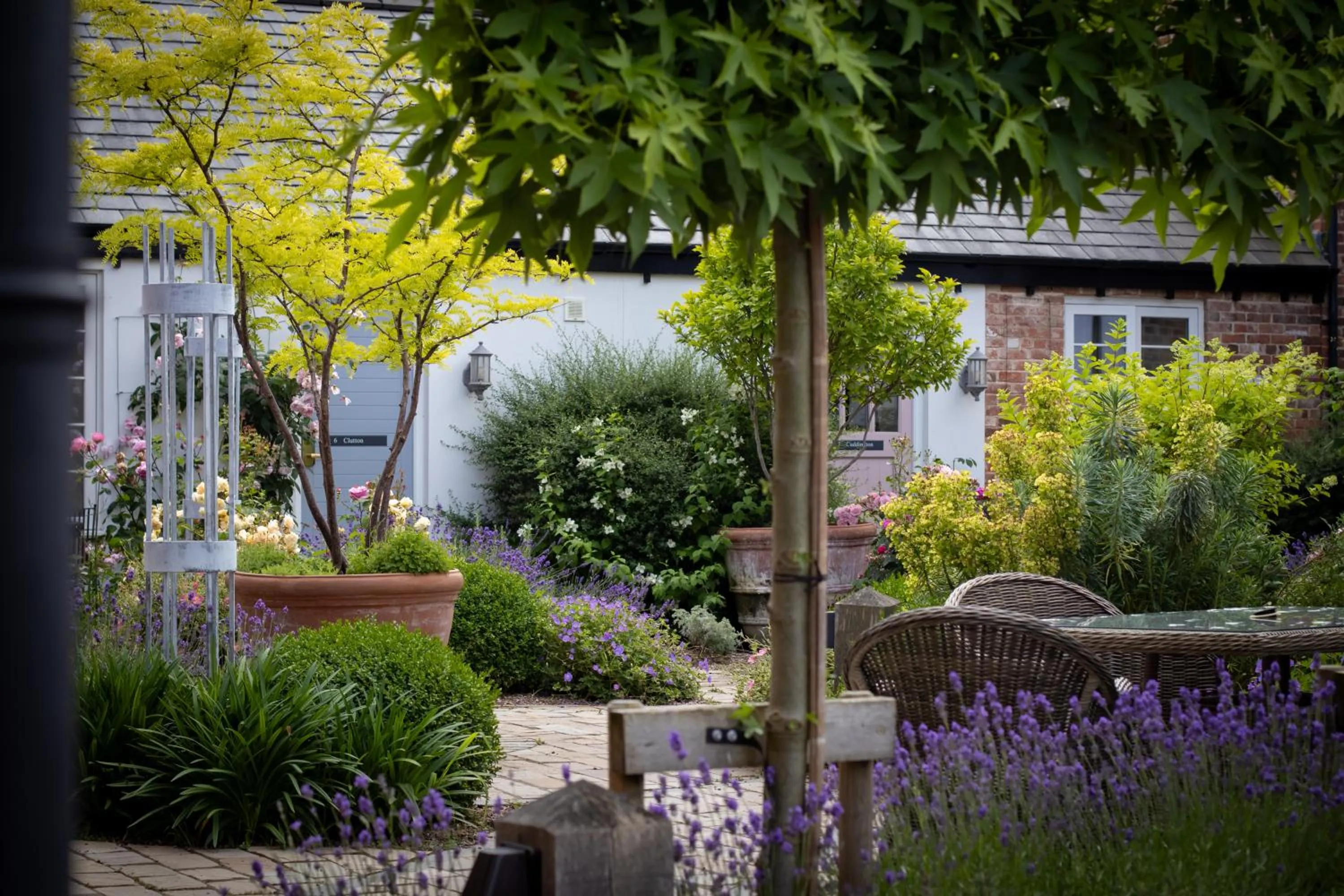 Garden in The Lion at Malpas