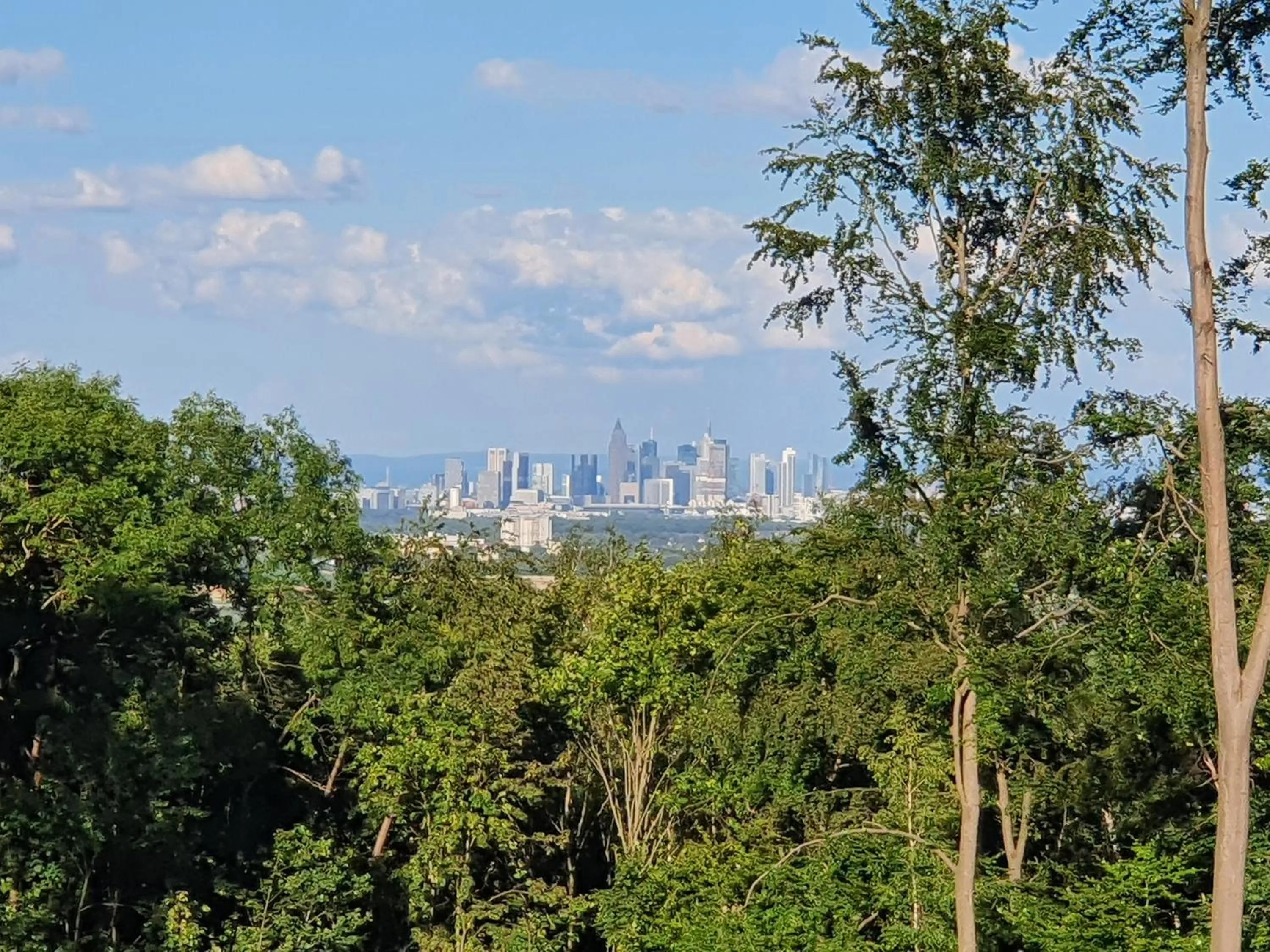 Nearby landmark in Dreispitz -B&B-Hotel Garni