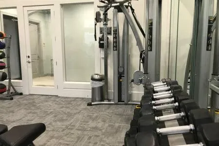 Magnificent Furnished Apartment near Exxon Campus