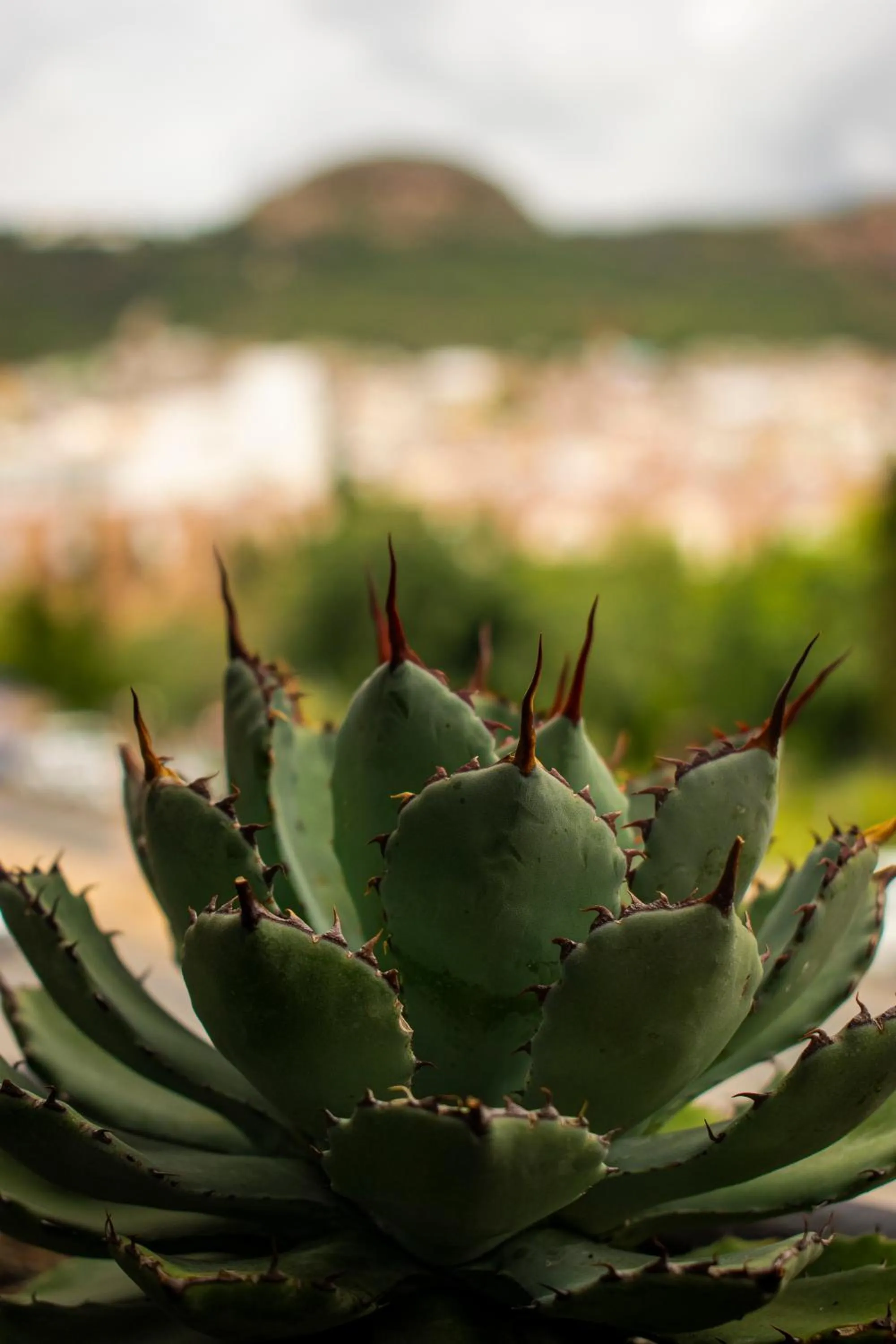 City view in Hotel Alika