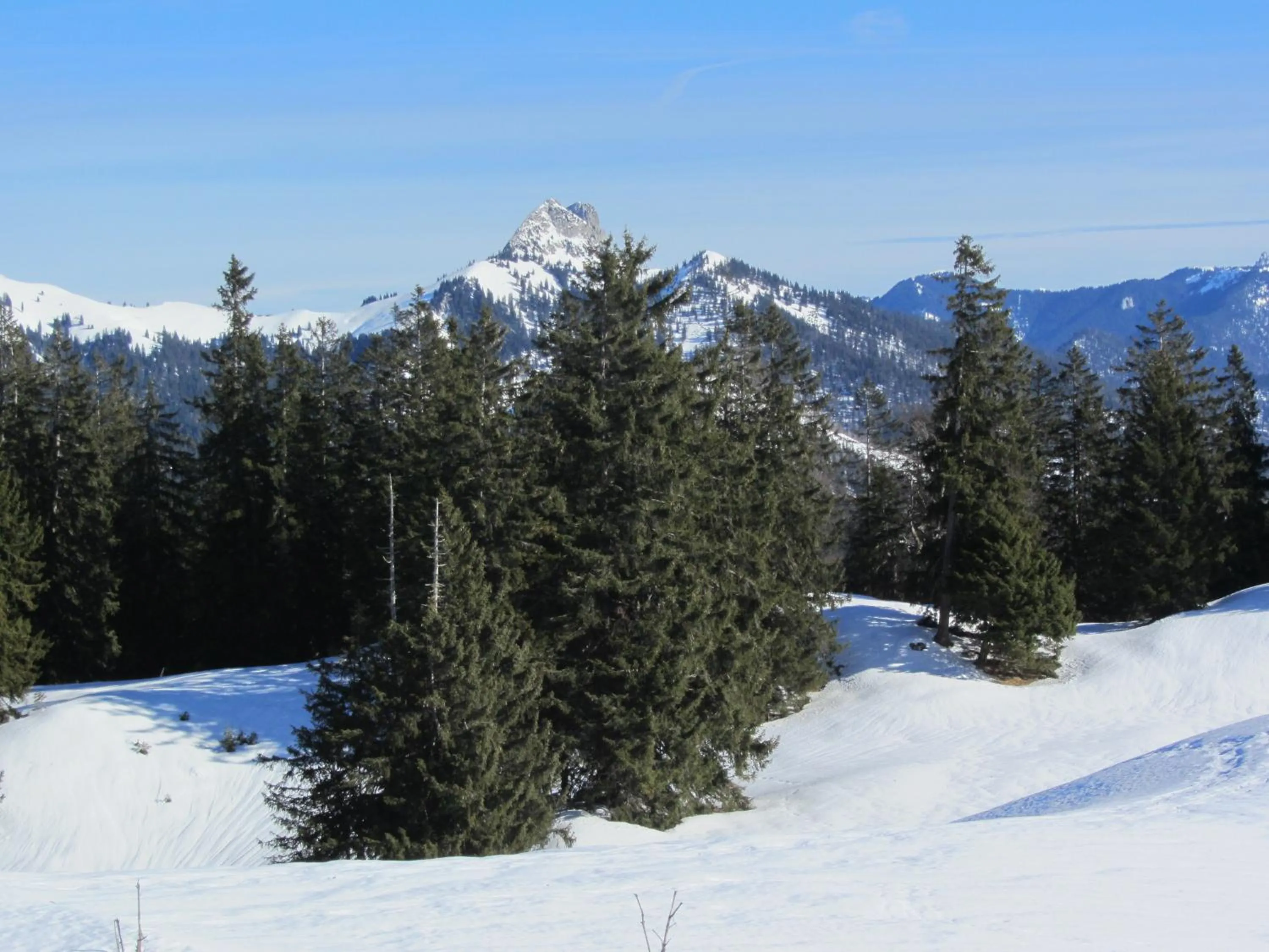 Natural landscape in Hotel-Pension-Ostler