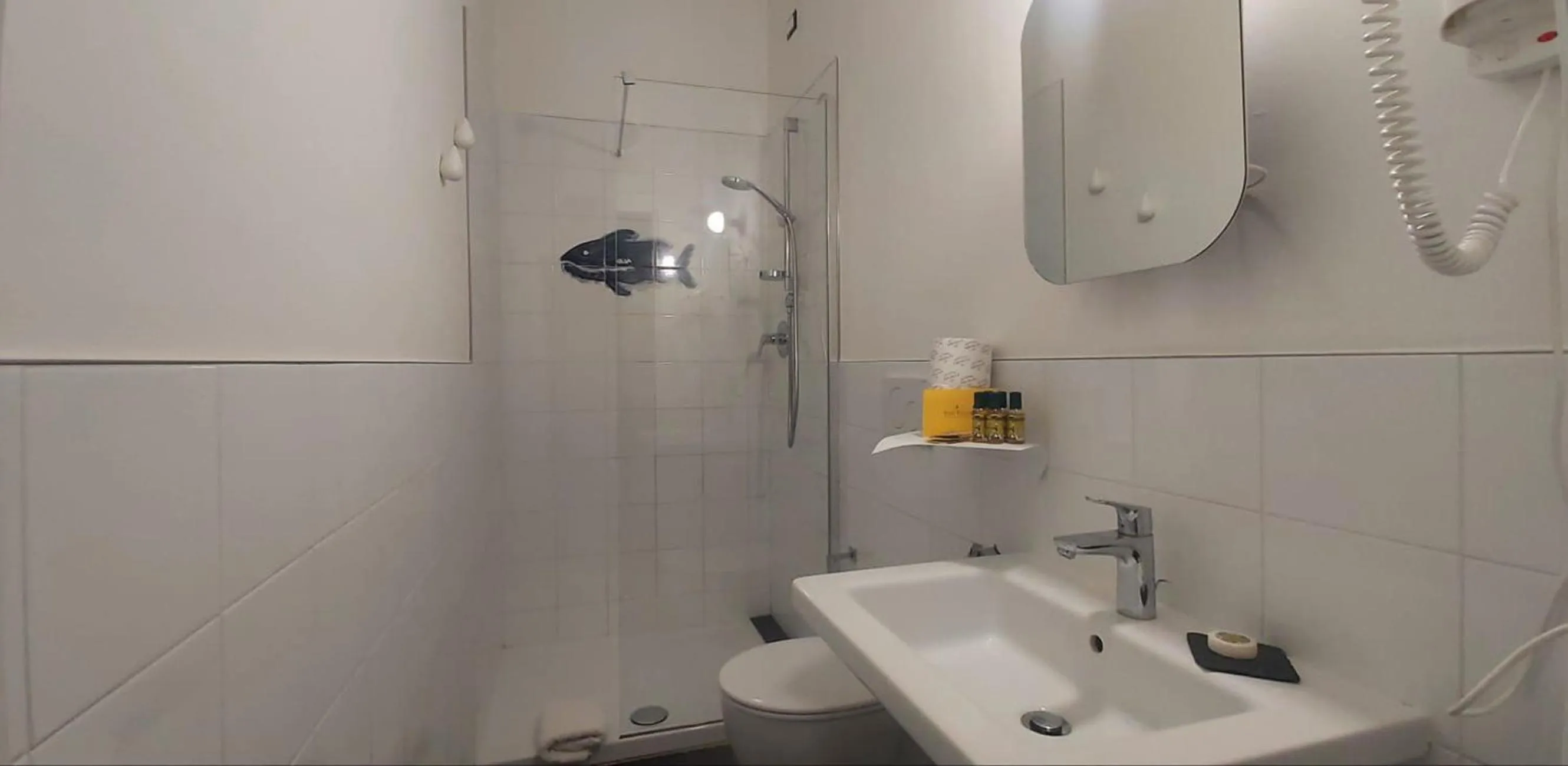 Shower in Street Art Inn Florence