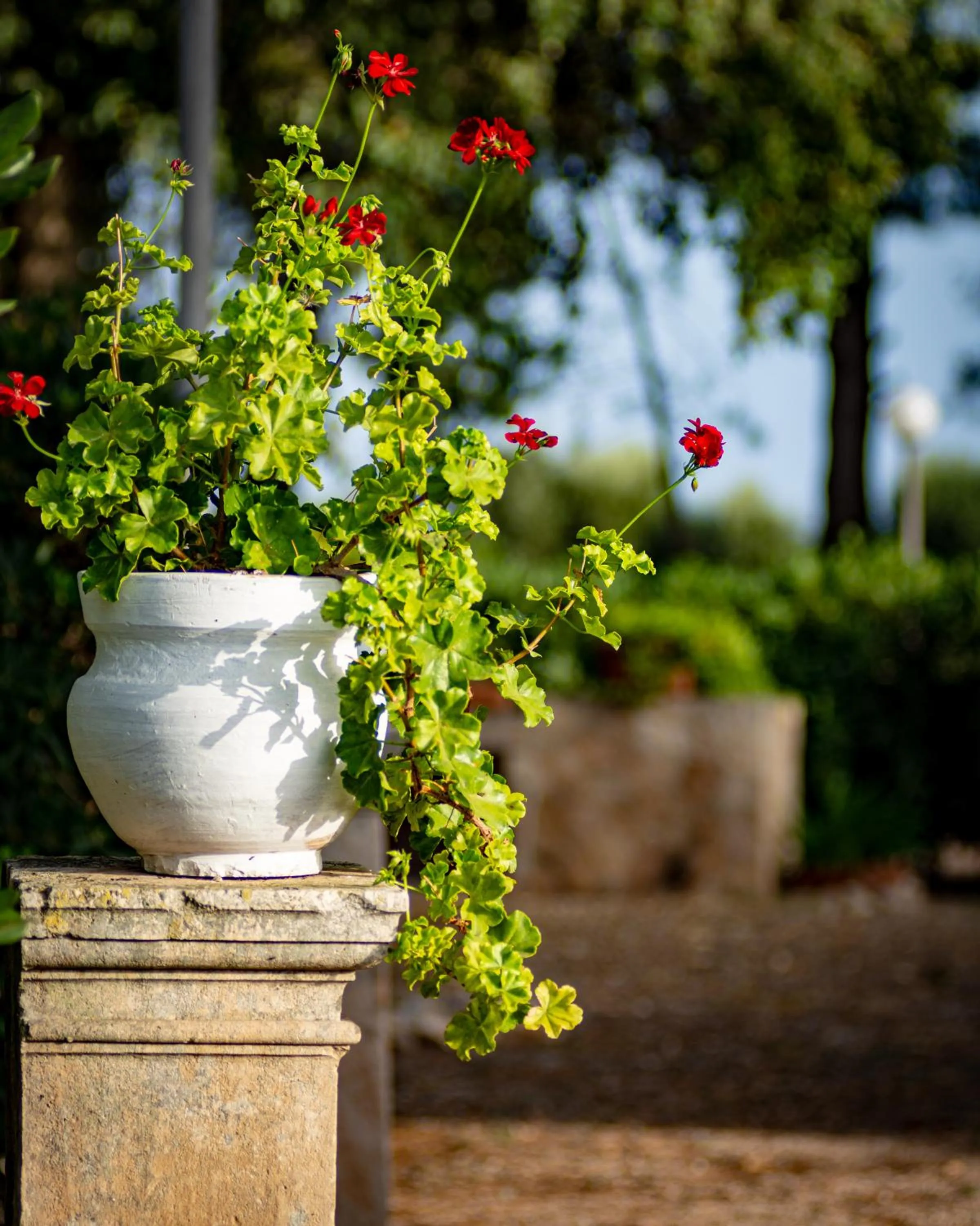 Property building in Antica Casina B&B di Charme