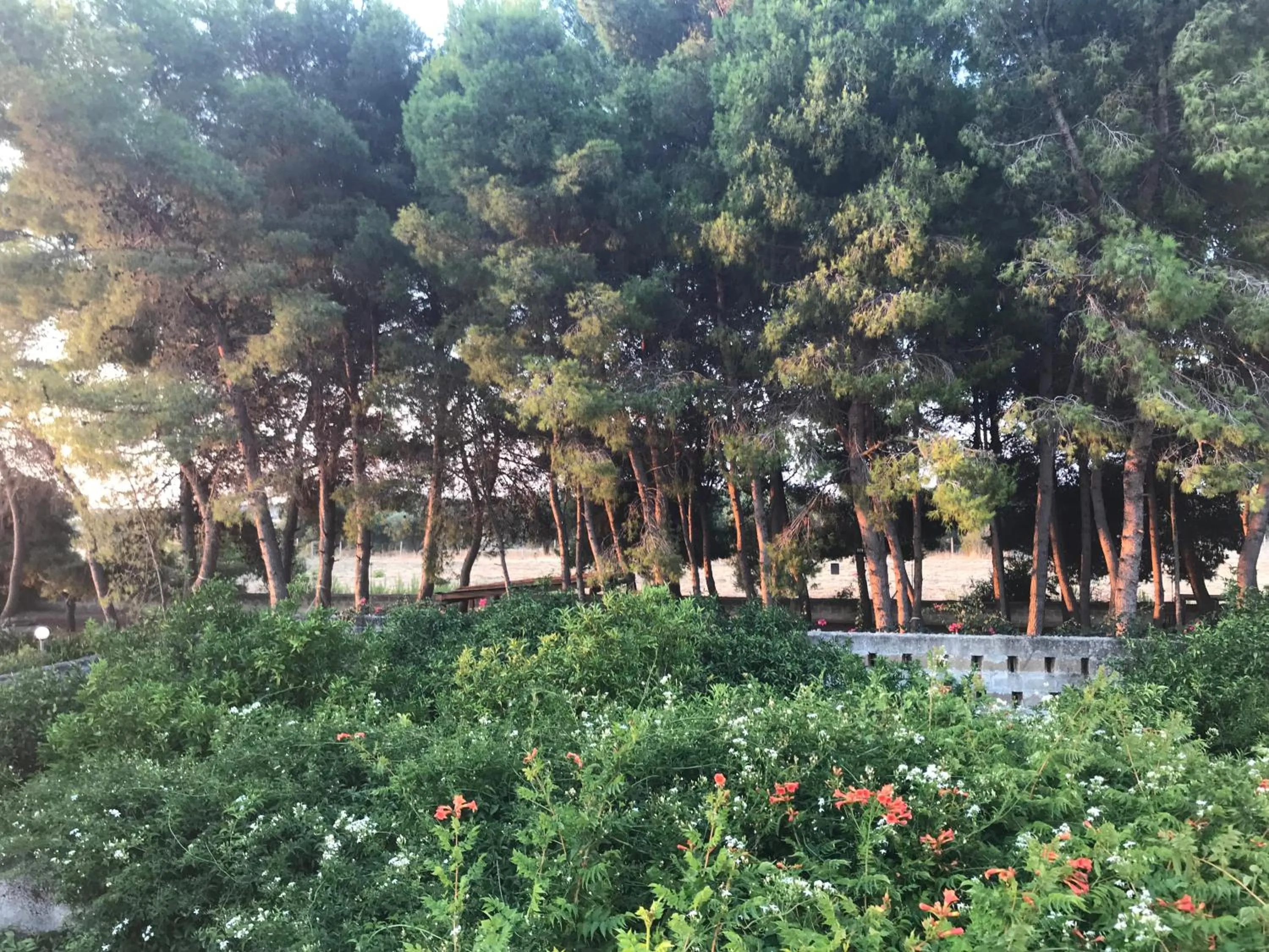 Property building in Antica Casina B&B di Charme