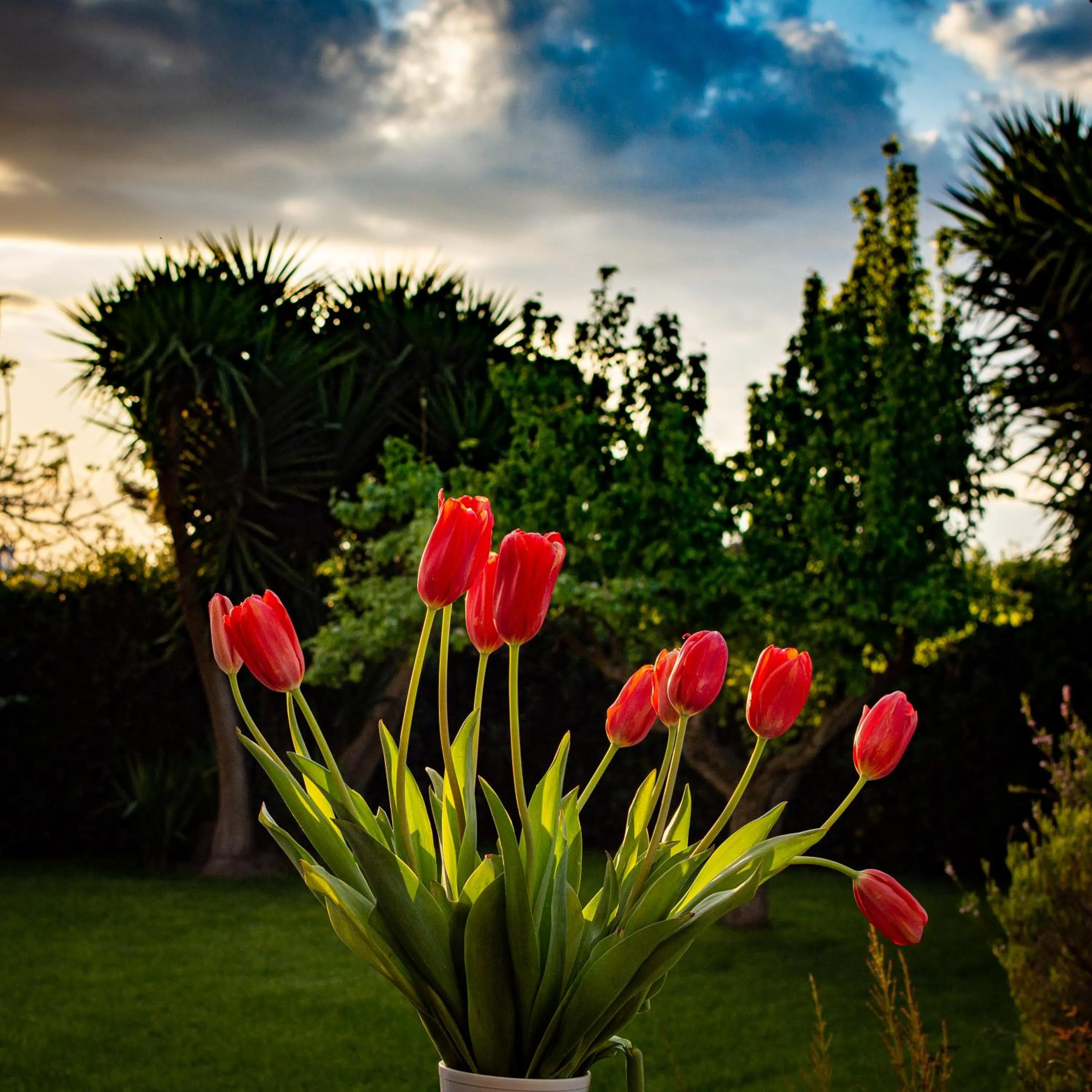 Garden in Antica Casina B&B di Charme