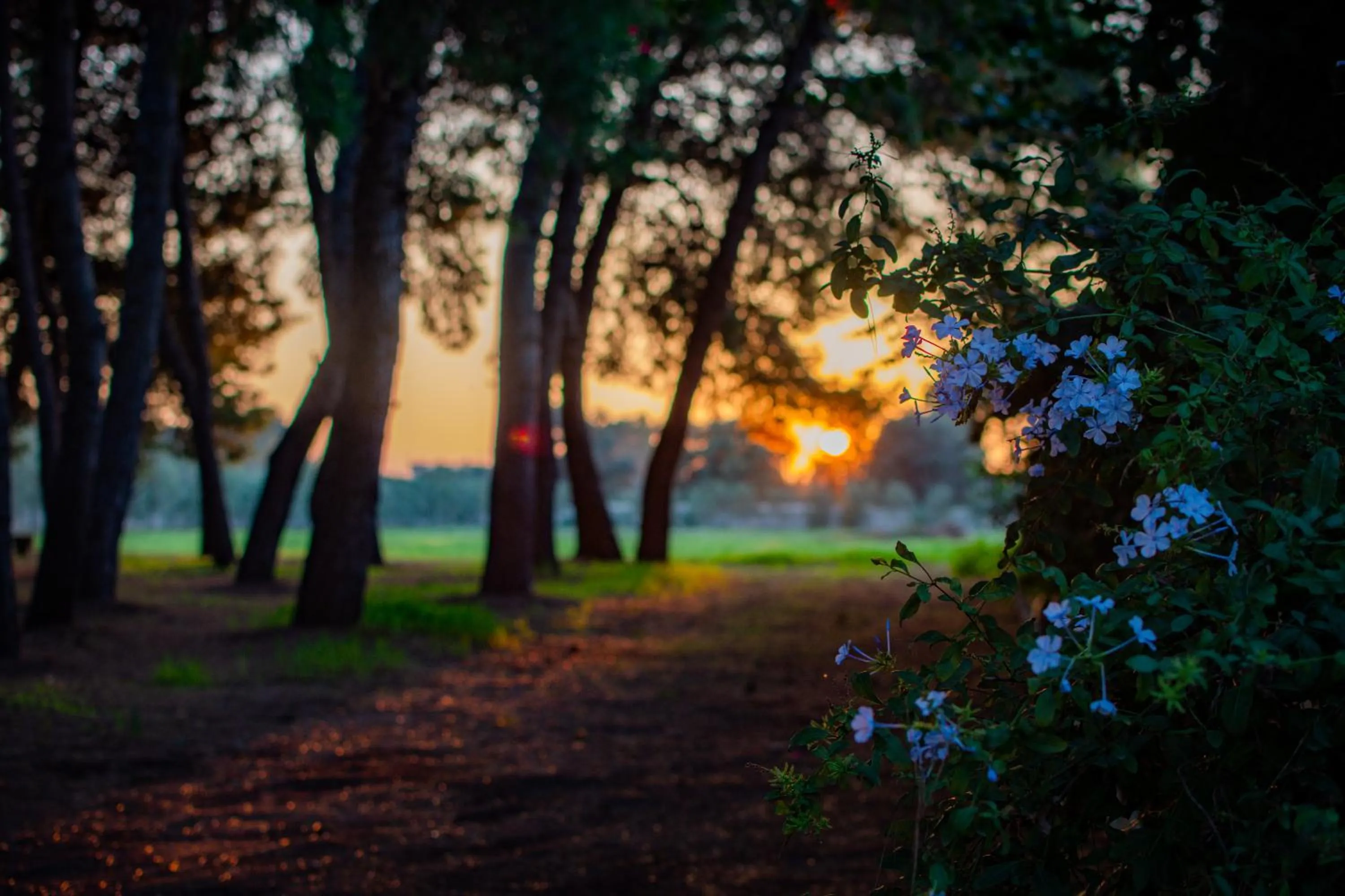 Property building in Antica Casina B&B di Charme
