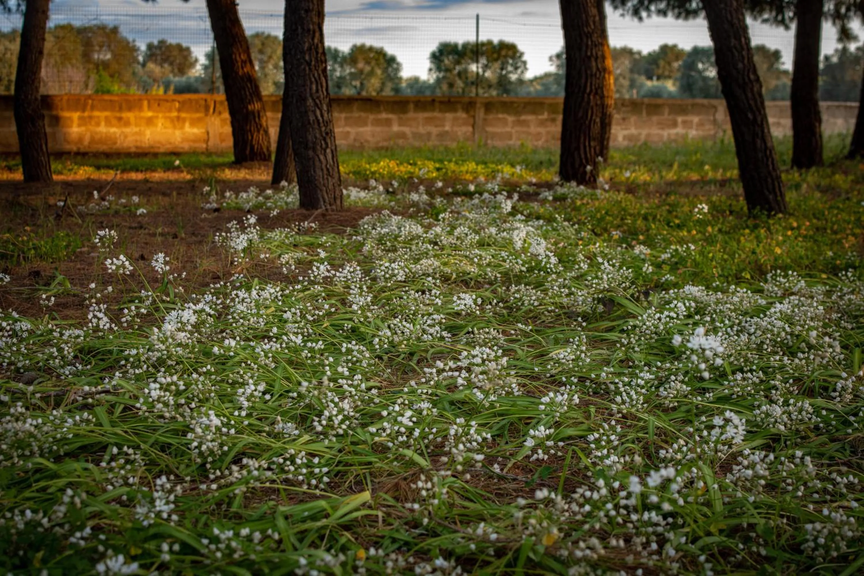 Natural landscape in Antica Casina B&B di Charme