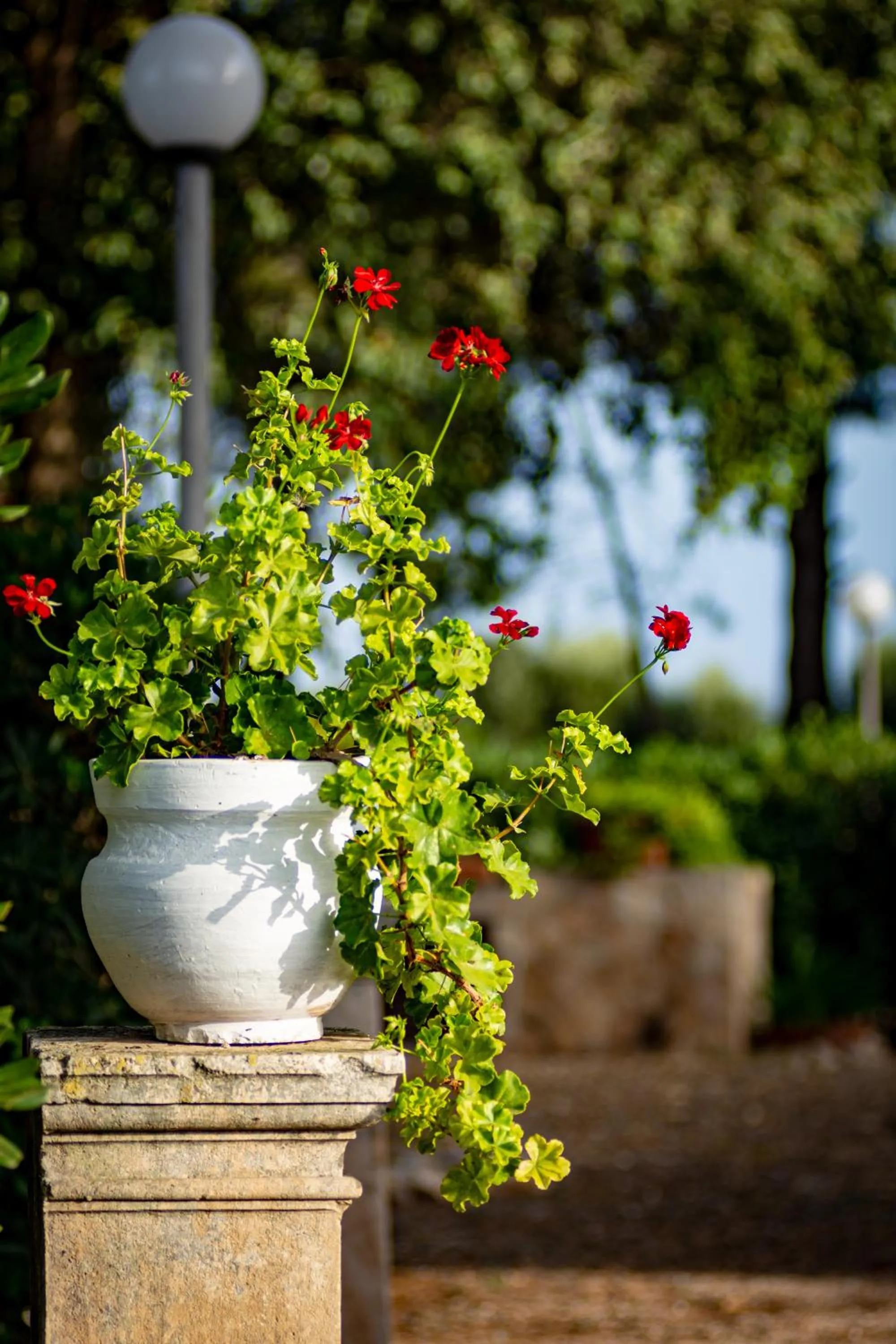Landmark view in Antica Casina B&B di Charme