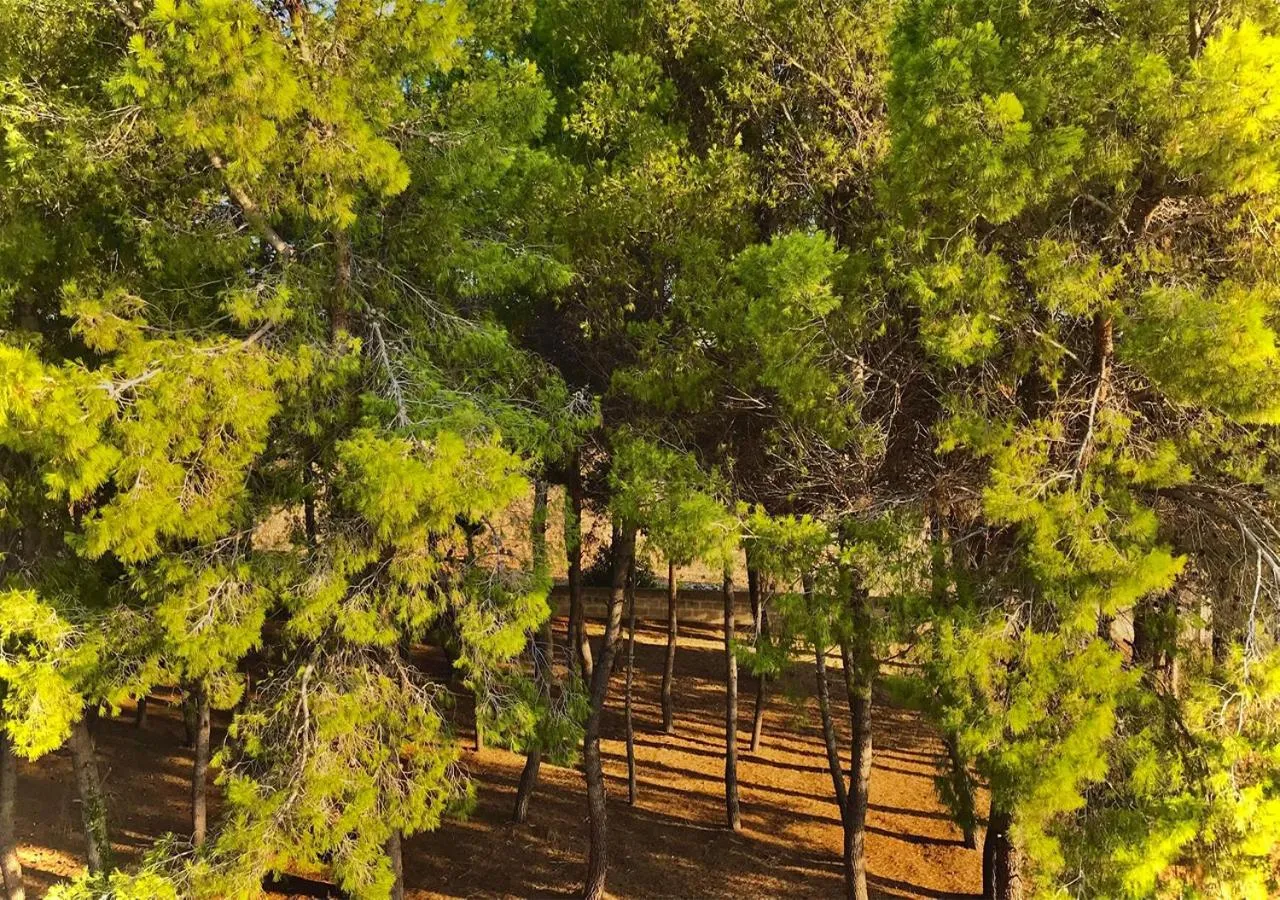 Natural landscape in Antica Casina B&B di Charme