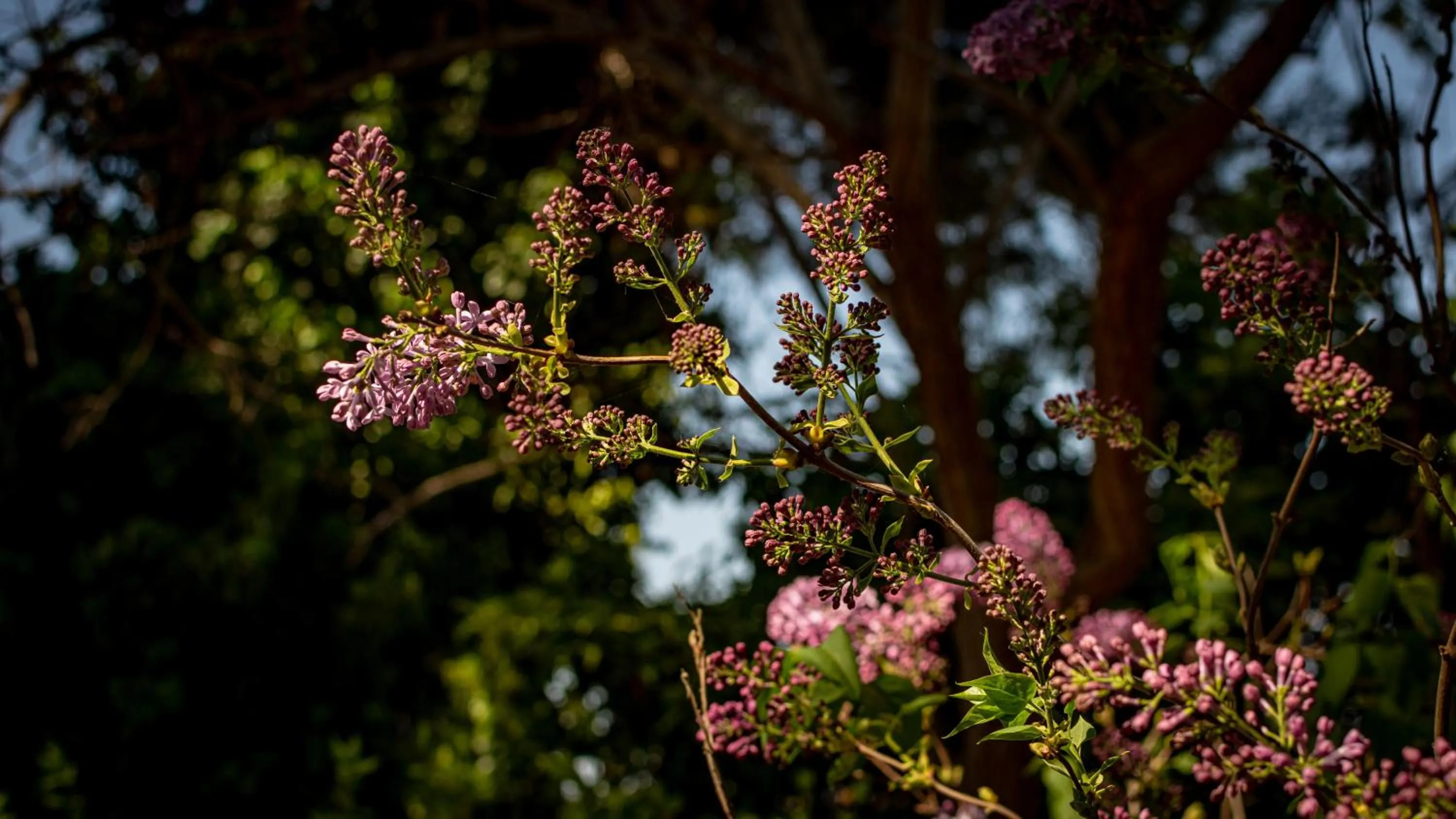 Natural landscape in Antica Casina B&B di Charme