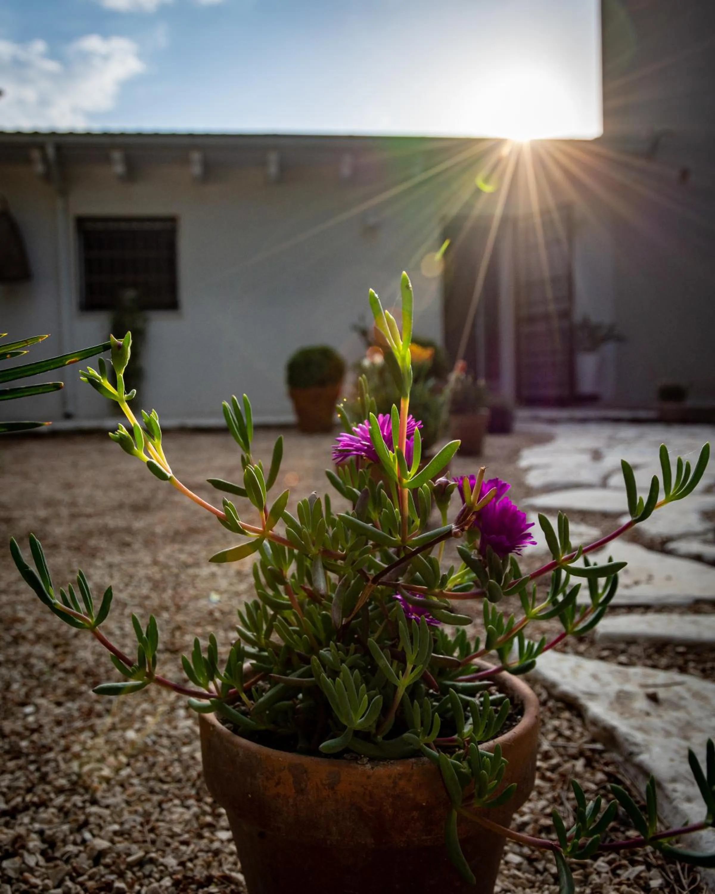 Facade/entrance in Antica Casina B&B di Charme