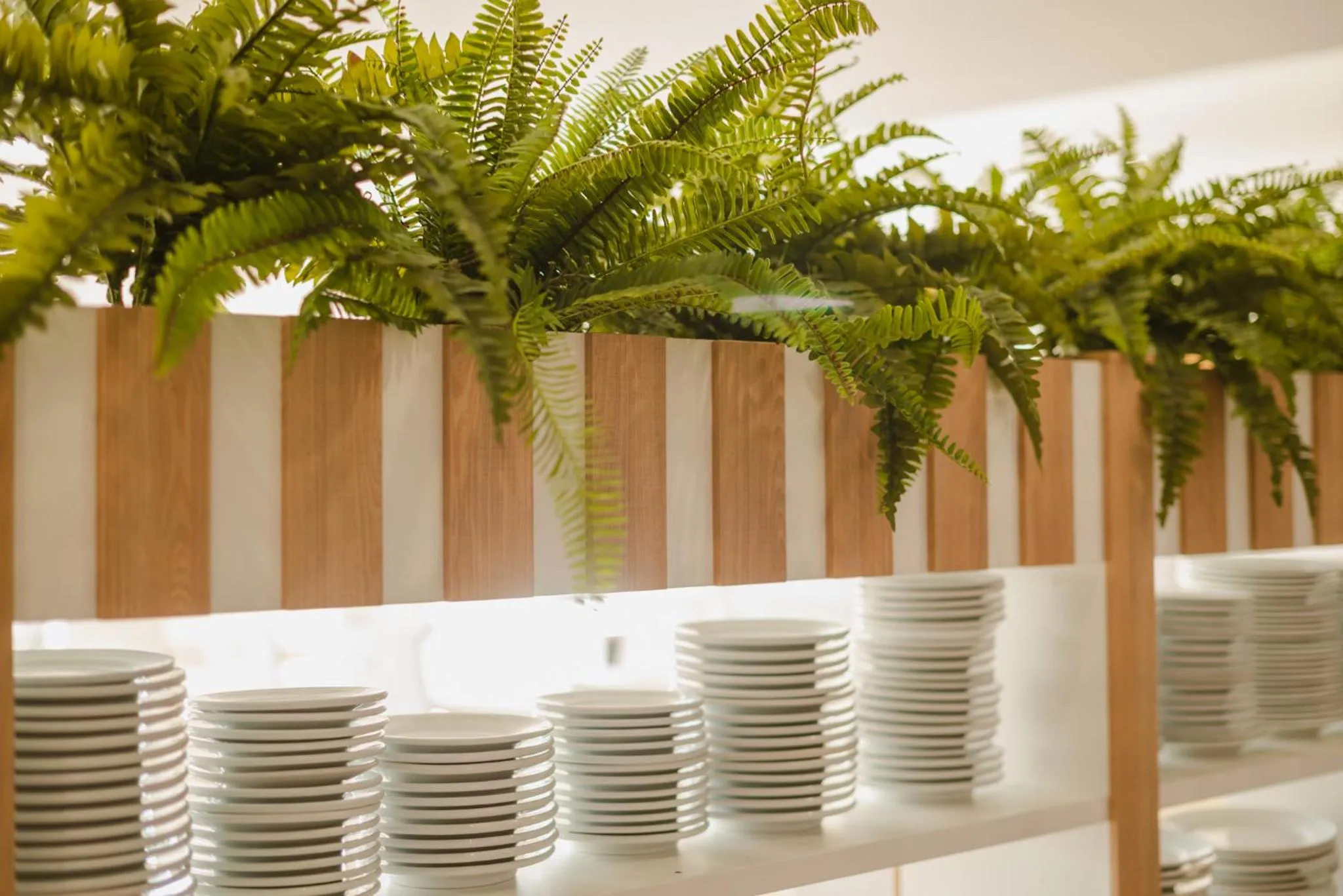 Buffet breakfast in Hotel LLITERAS