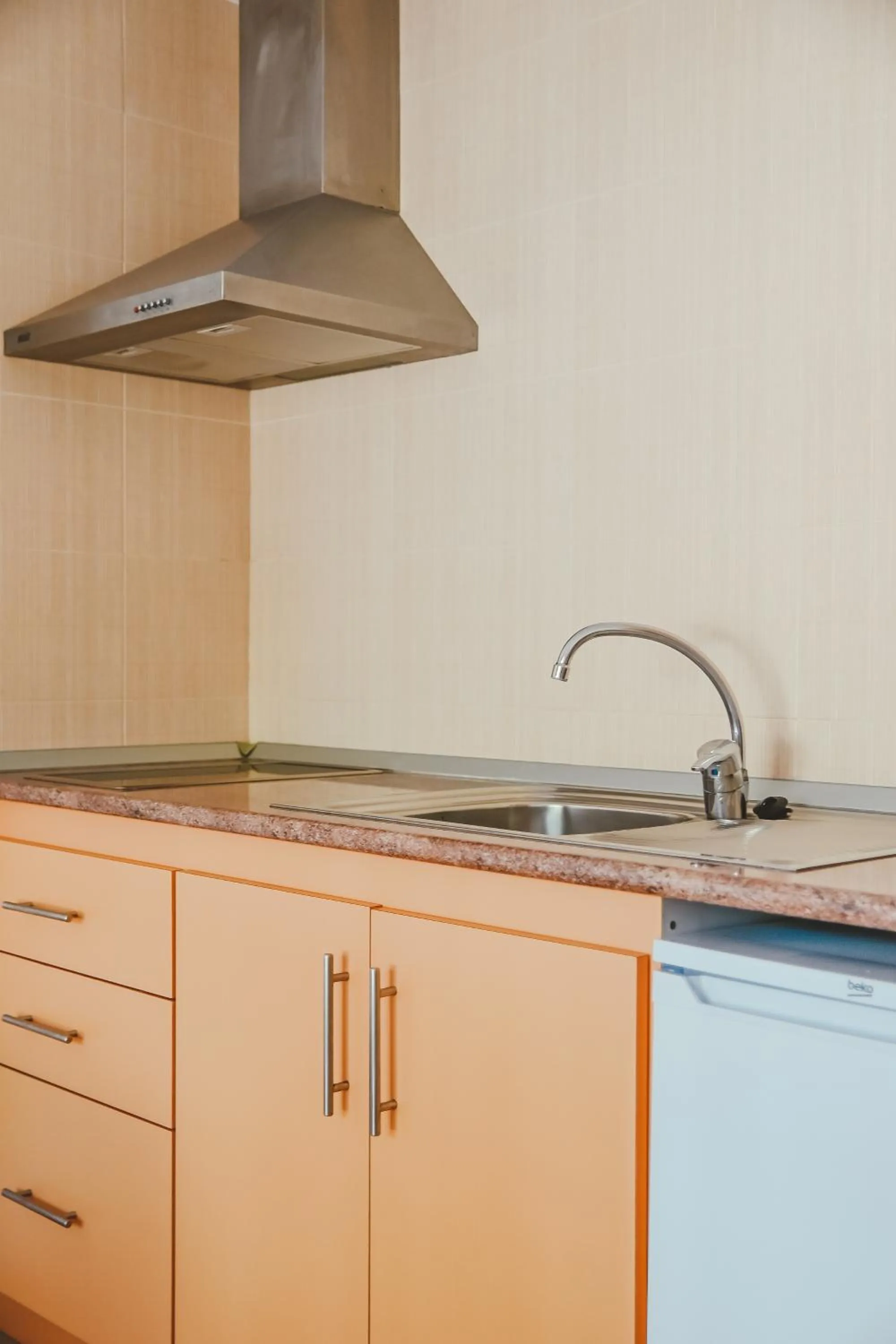 Kitchen or kitchenette in Hotel LLITERAS