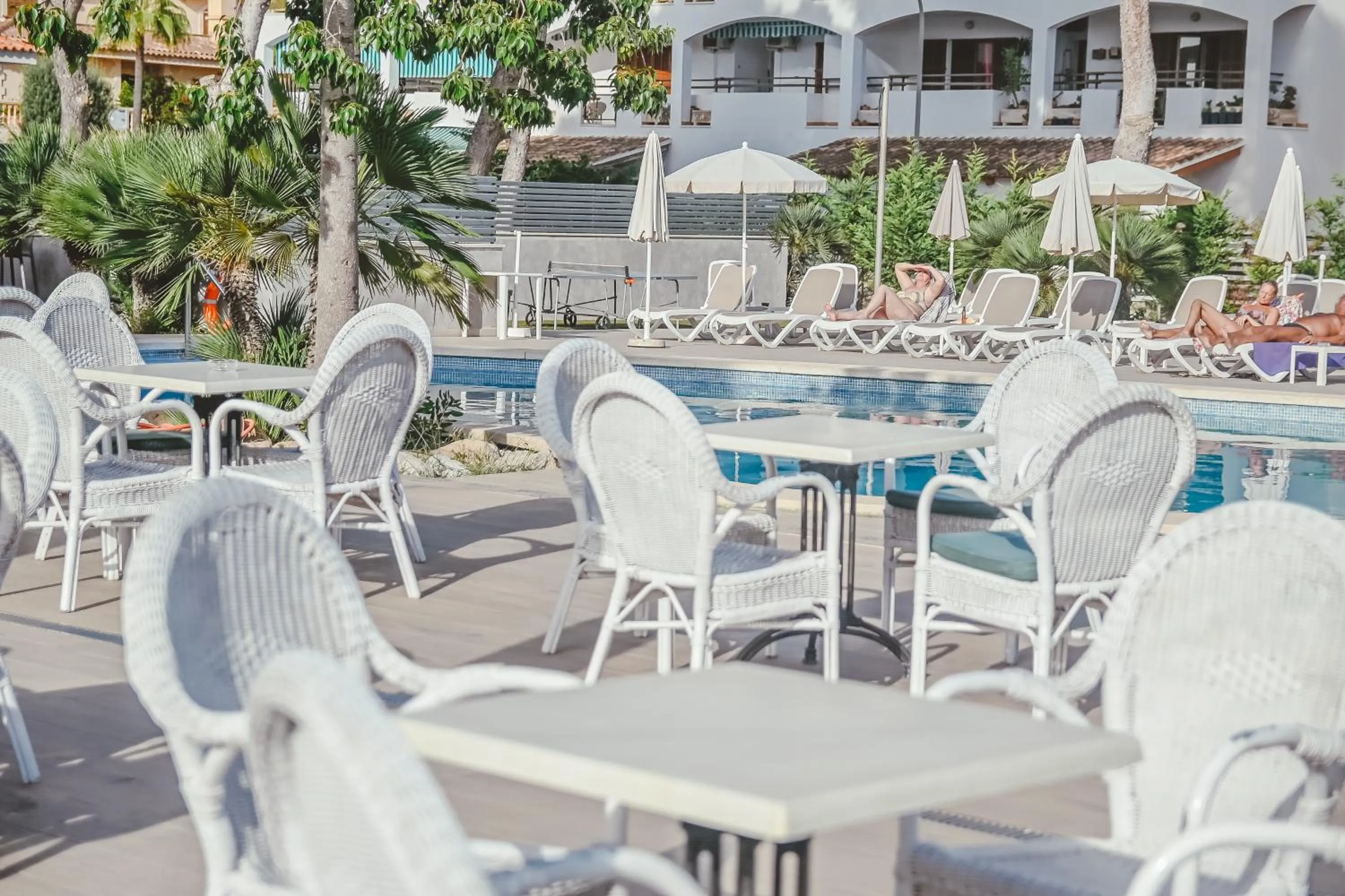 sunbed in Hotel LLITERAS