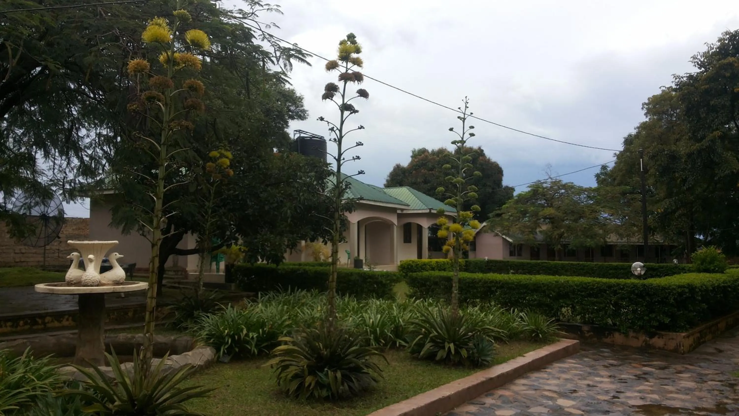 Garden in Blue Dove Koboko