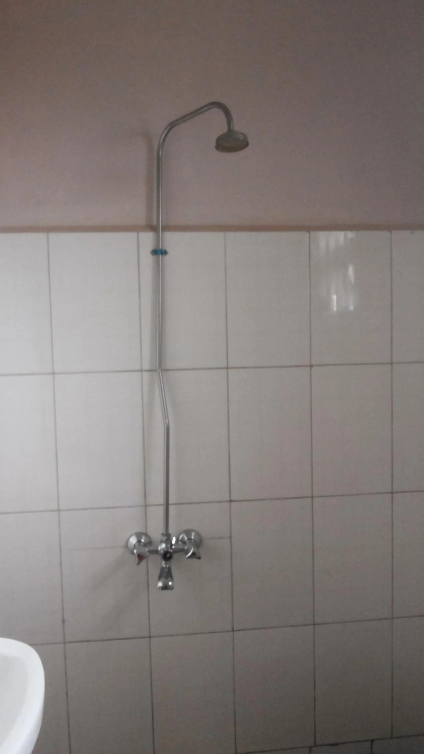 Shower in Blue Dove Koboko