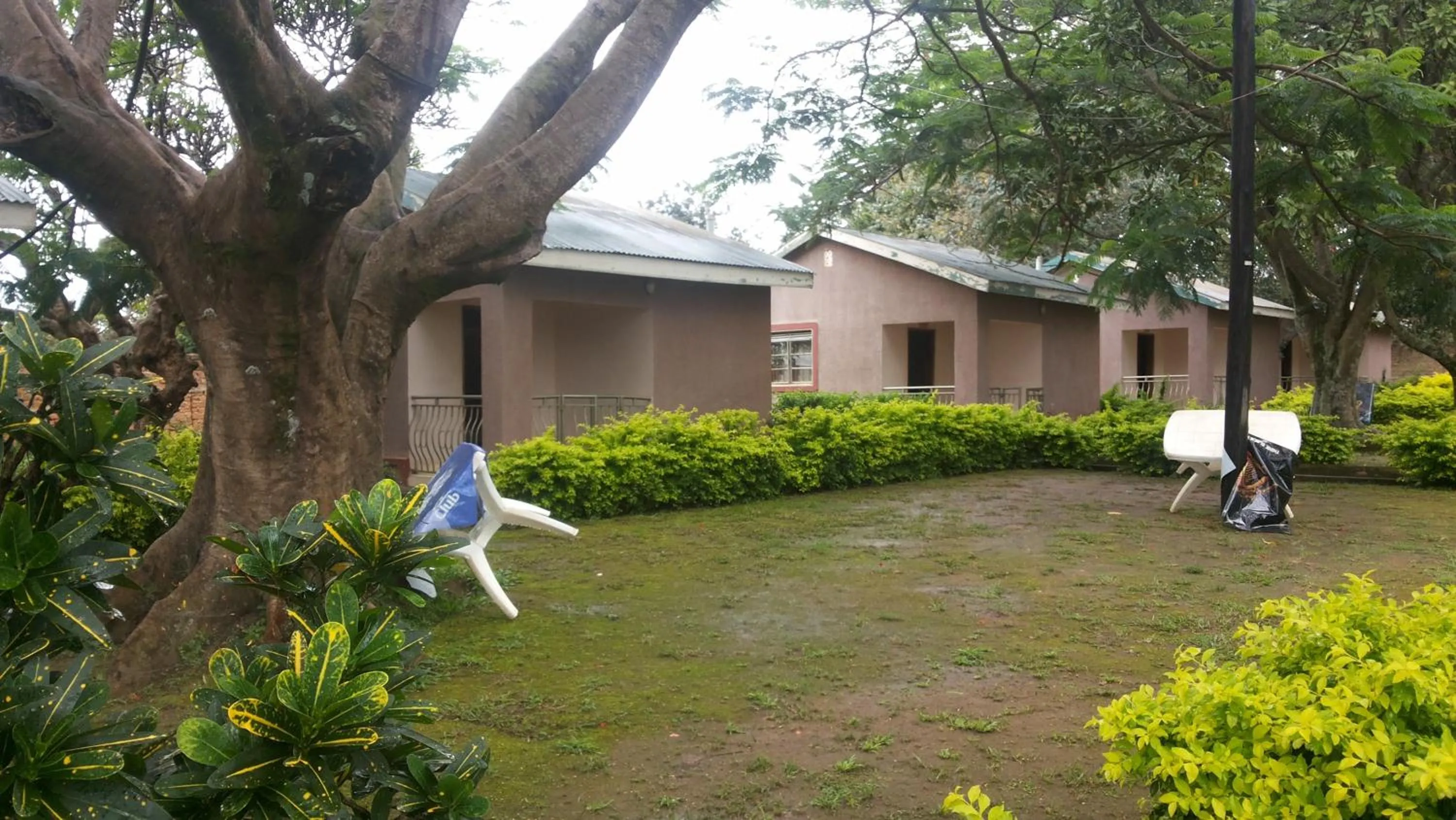 Garden in Blue Dove Koboko