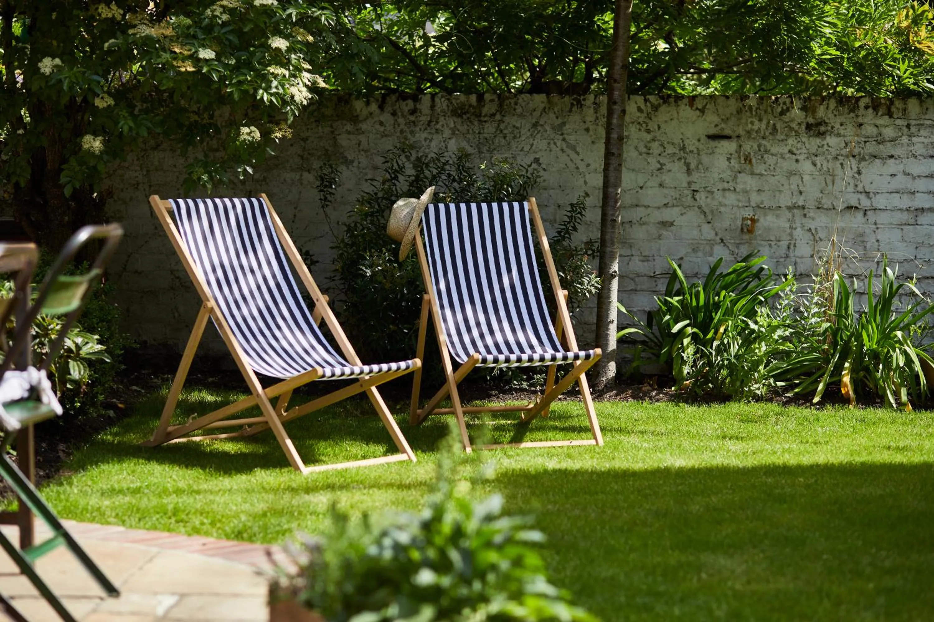 Garden in Room Mate Lime Tree