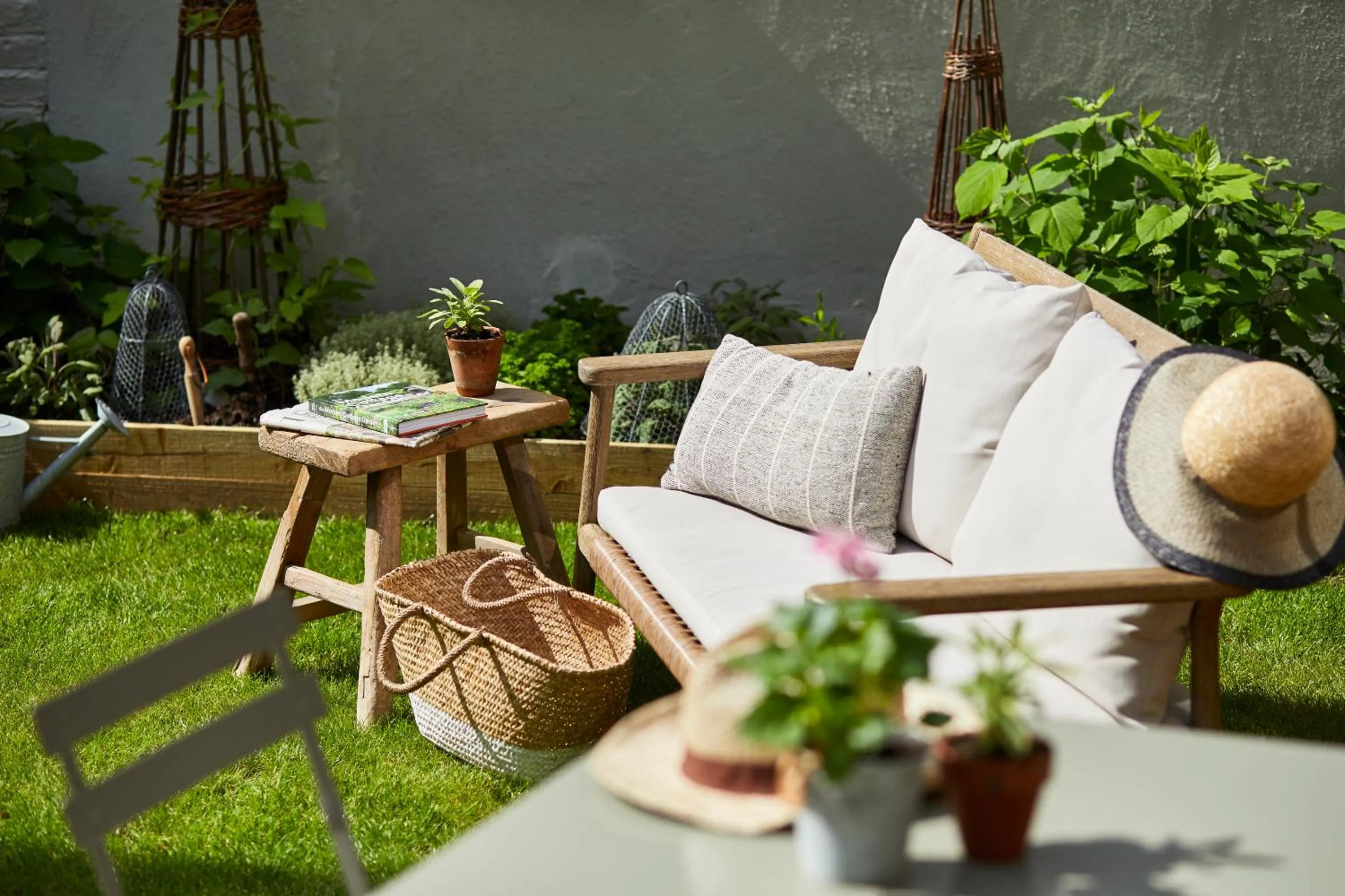 Garden in Room Mate Lime Tree