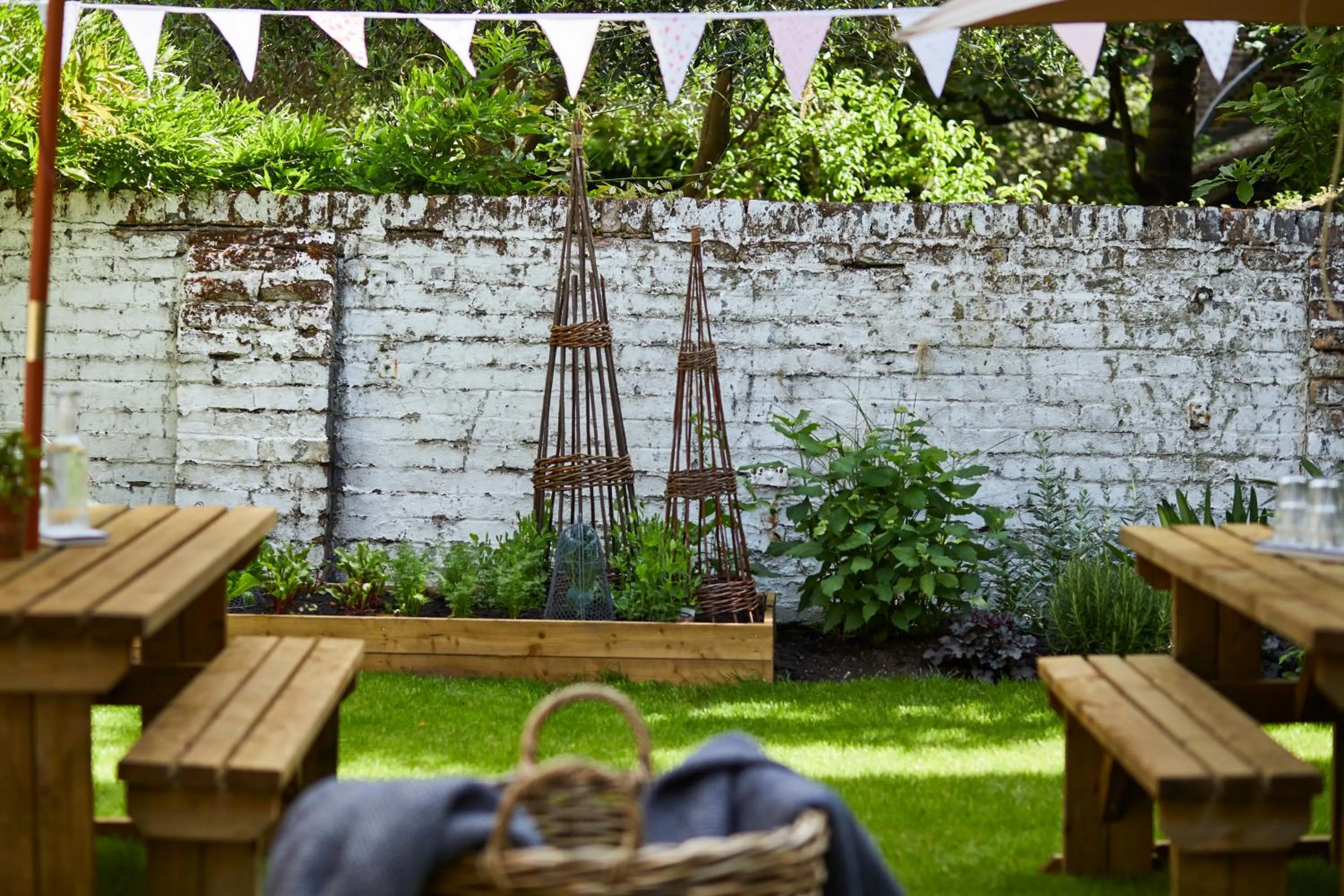 Garden in Room Mate Lime Tree