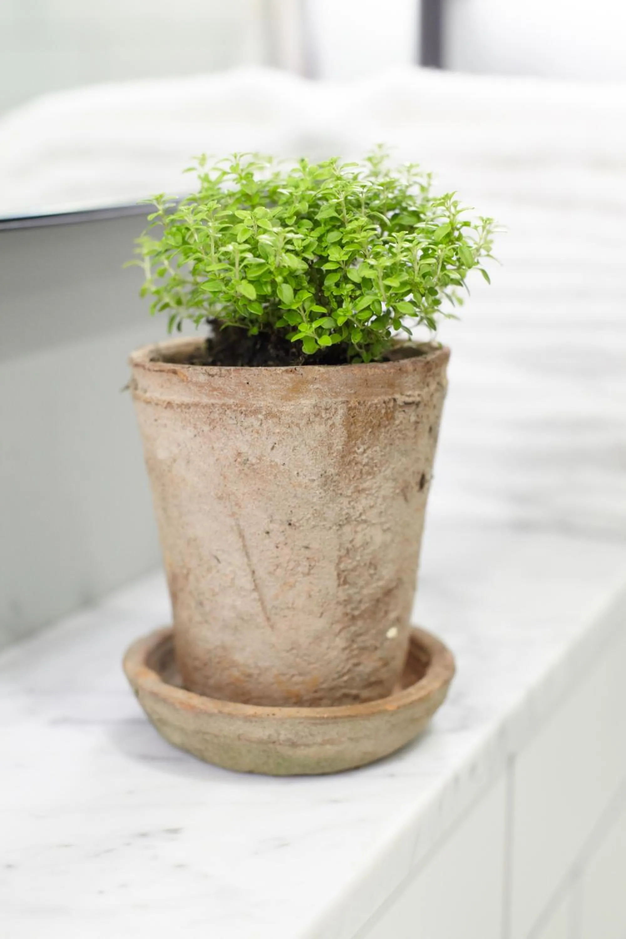 Bathroom in Room Mate Lime Tree