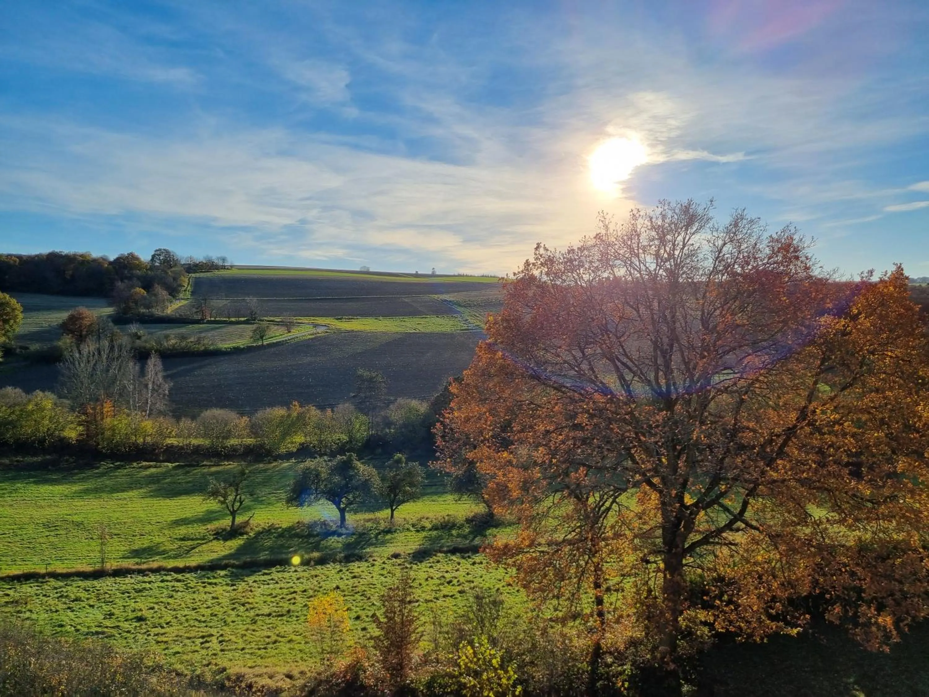 View (from property/room) in Zur Morschbach