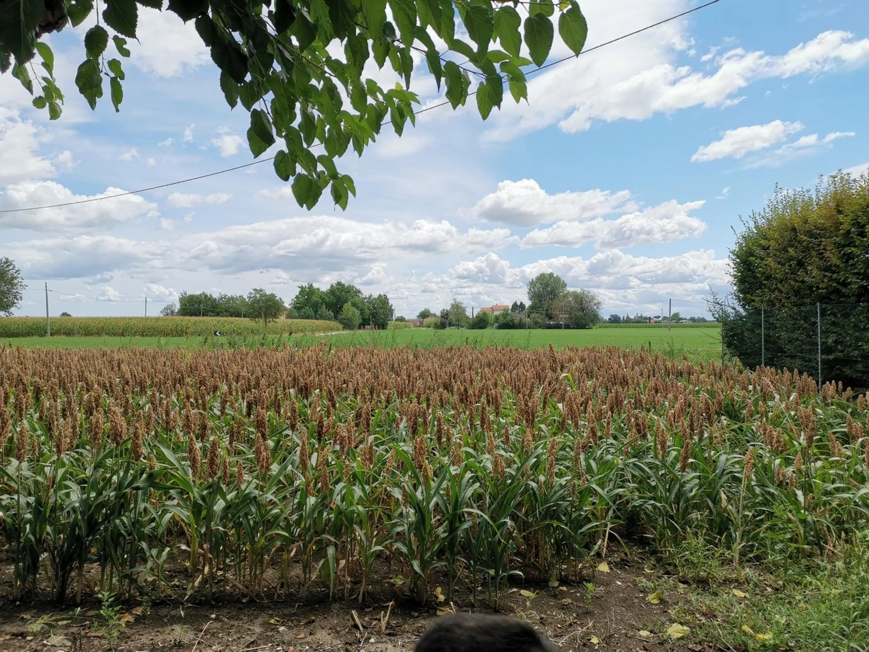 Natural landscape in Casa Flosa Room & Breakfast