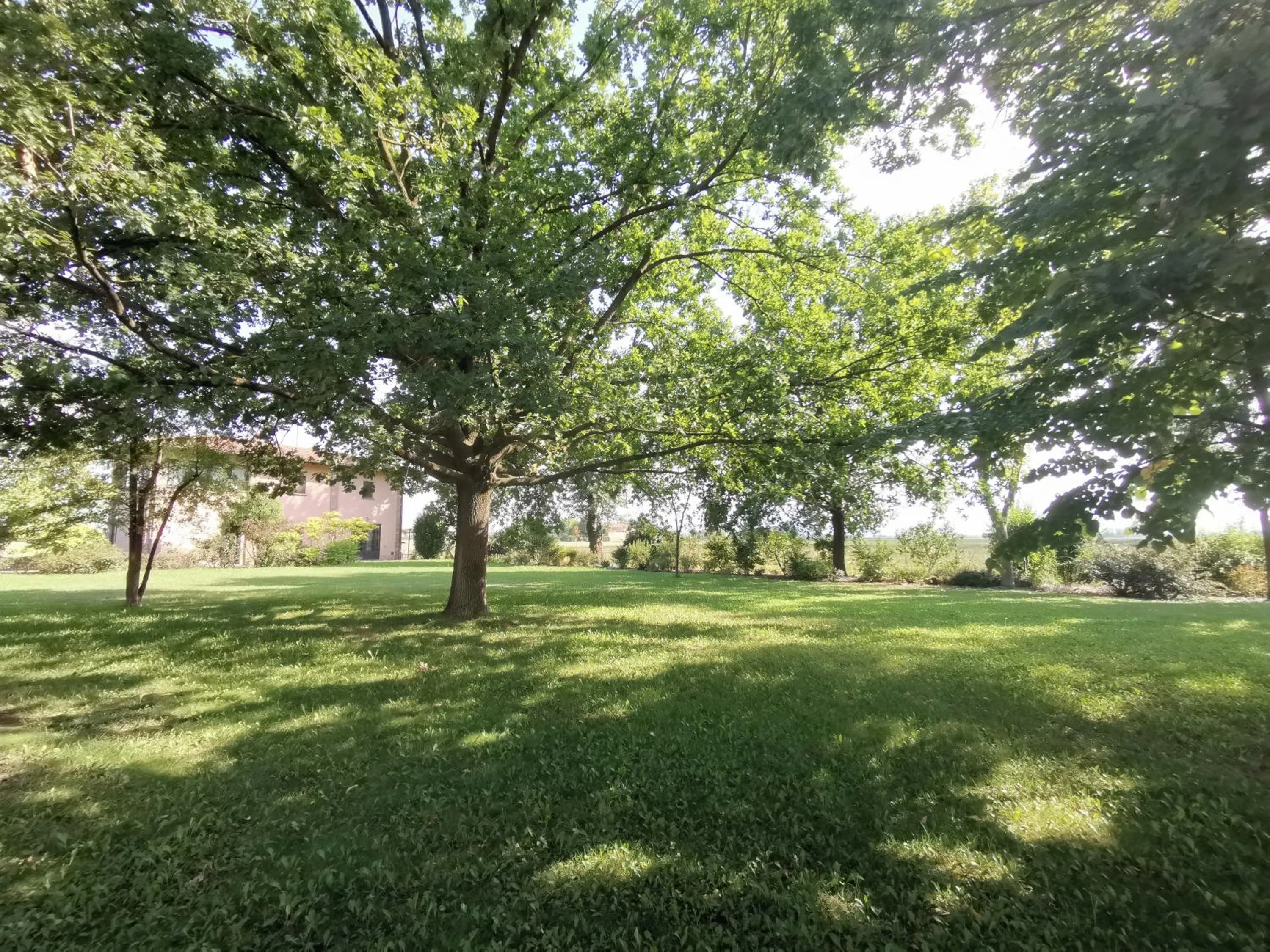 Garden in Casa Flosa Room & Breakfast