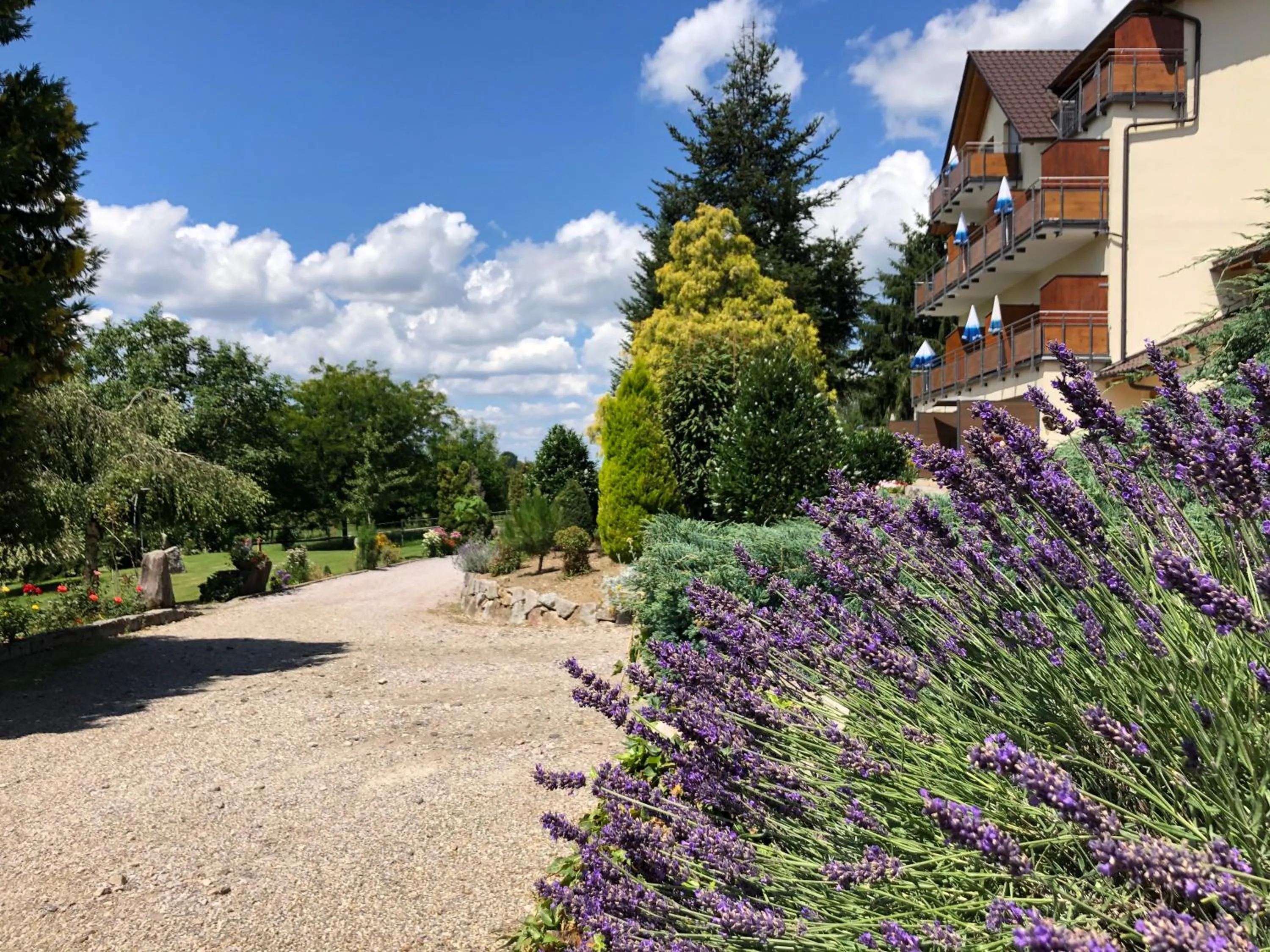 Garden in Hotel-Gasthof Rose
