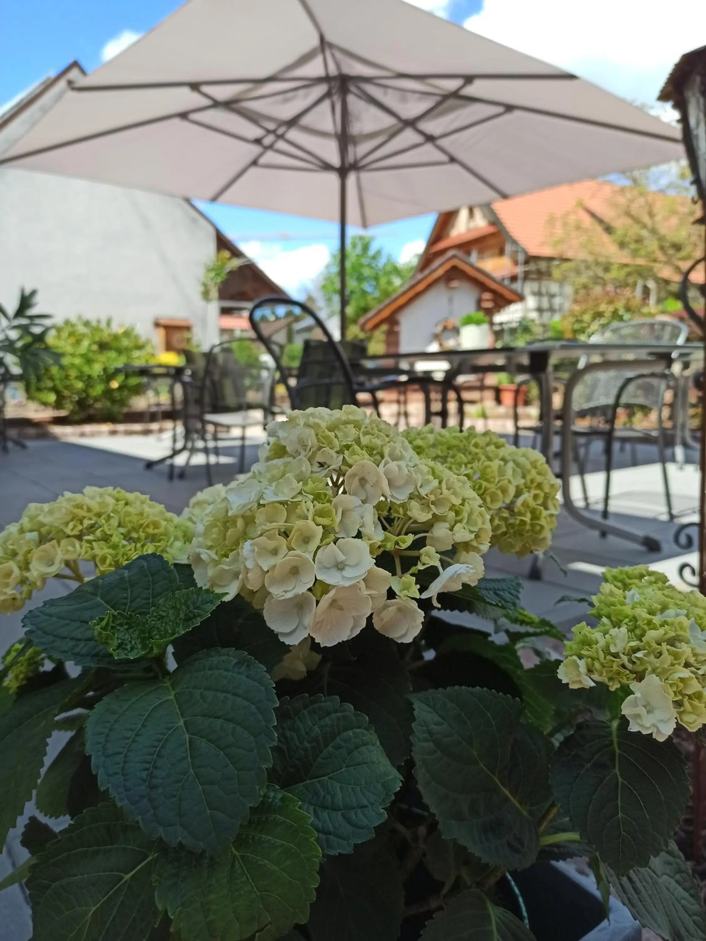 Restaurant/places to eat in Hotel-Gasthof Rose