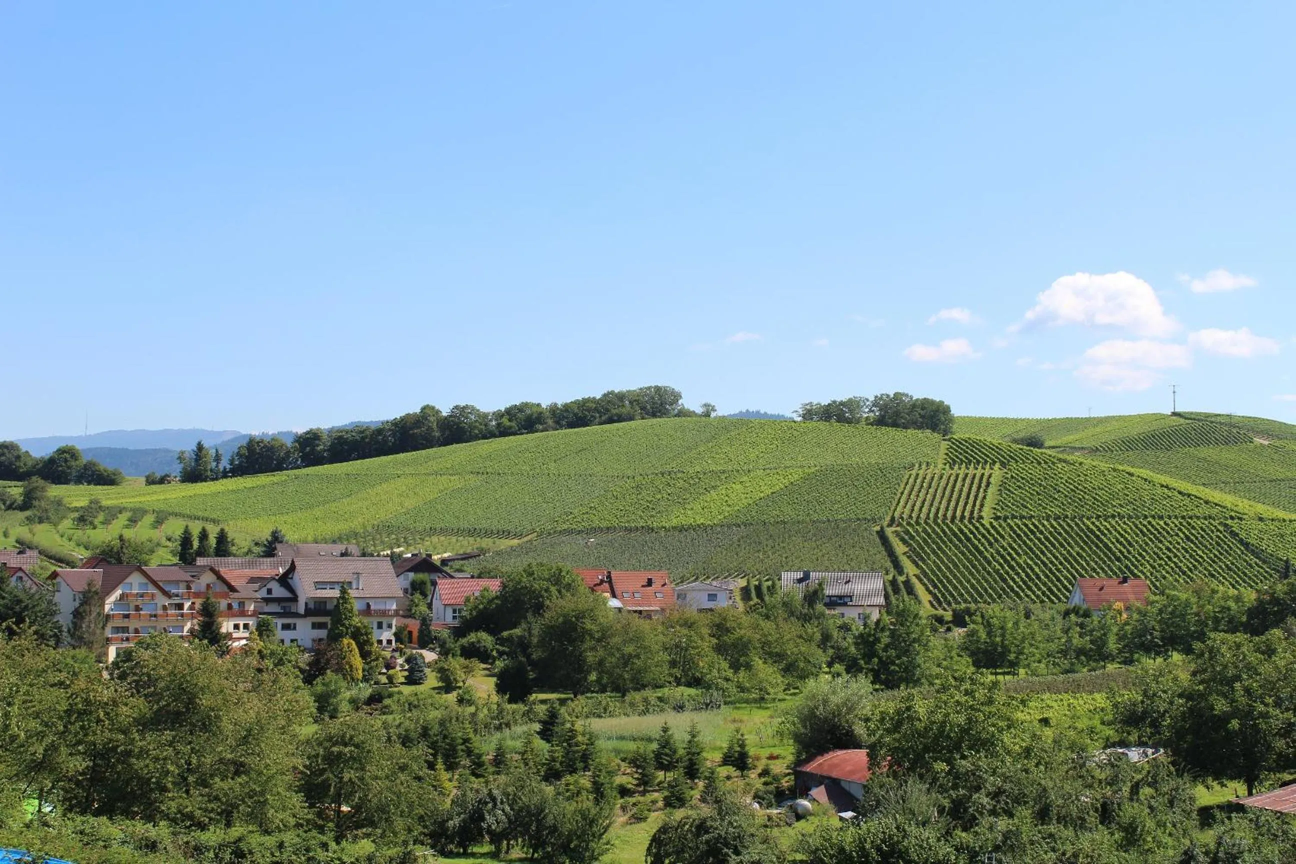 Neighbourhood in Hotel-Gasthof Rose