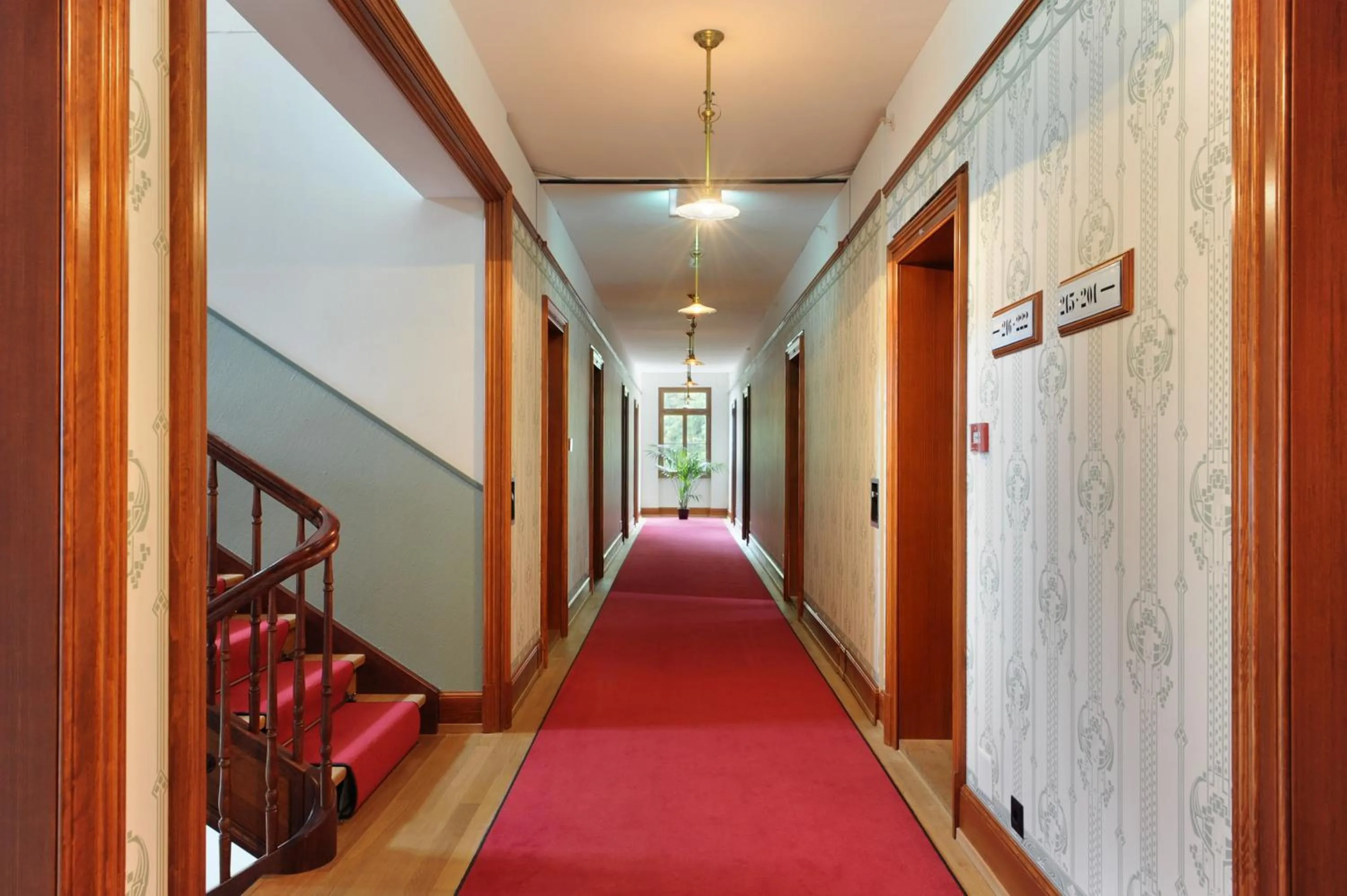 Area and facilities in Jugendstilhotel Paxmontana